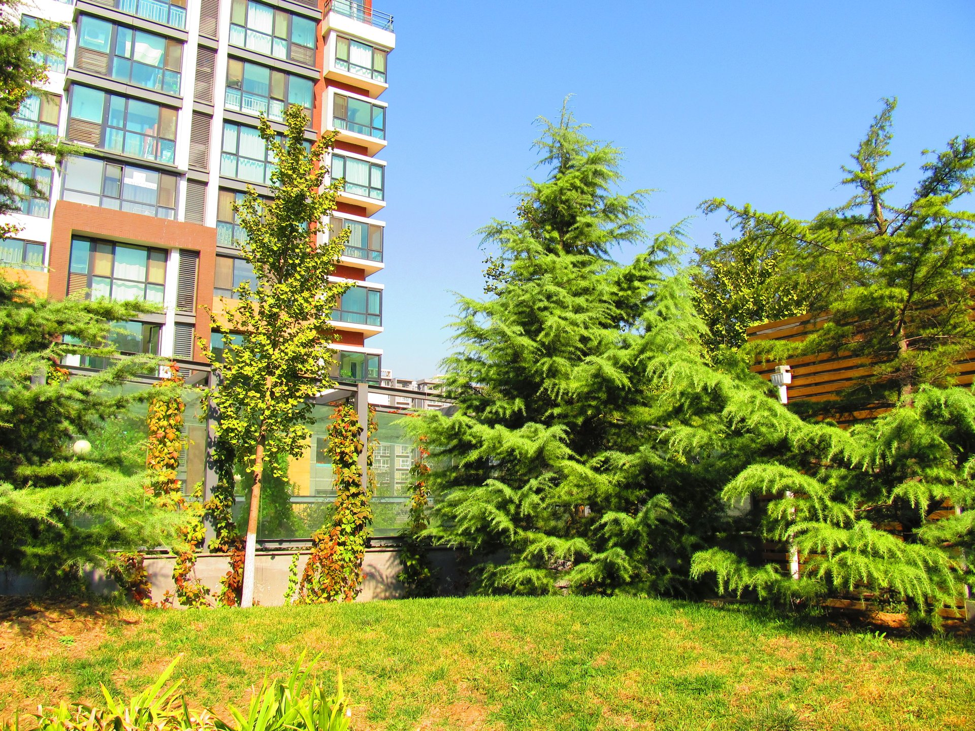 金隅凤麟洲 environment