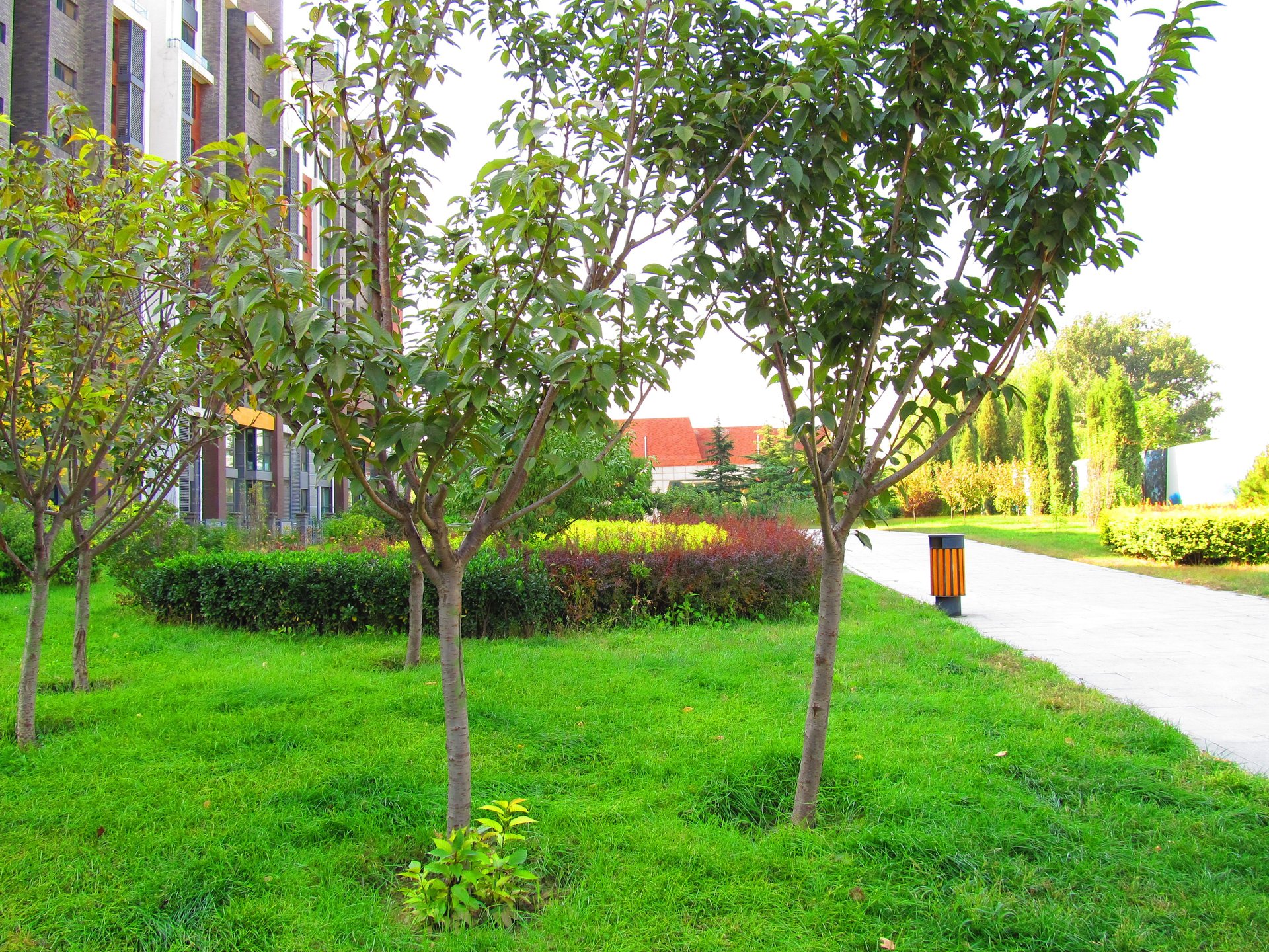 金隅凤麟洲 environment