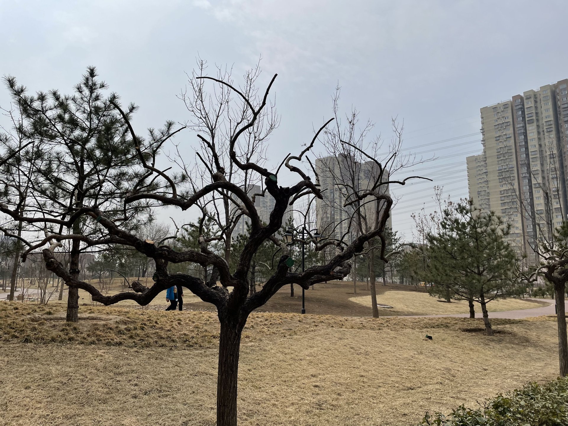 金隅汇星苑 environment