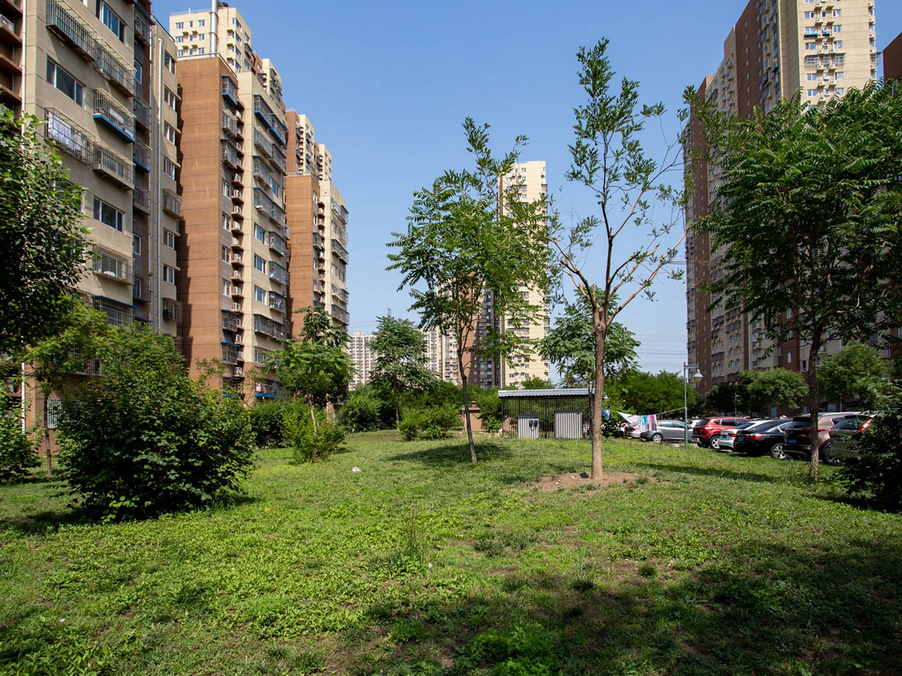 金隅泰和园 environment