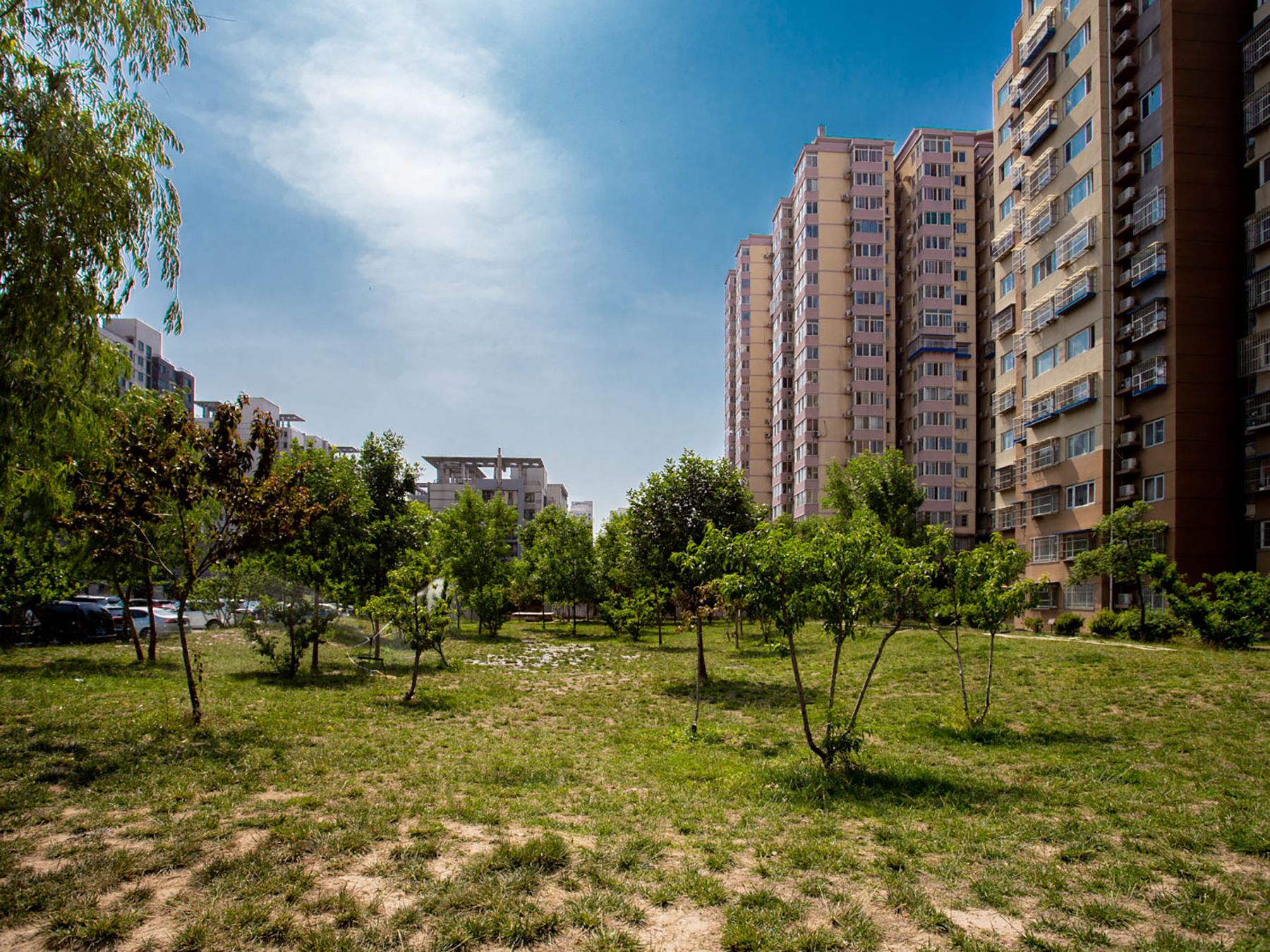 金隅泰和园 environment