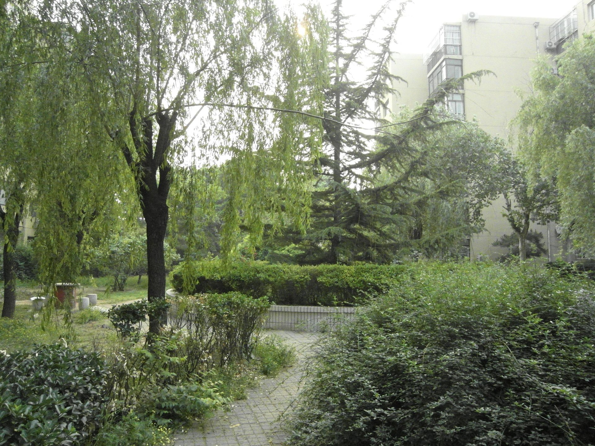 九龙山庄二区 environment