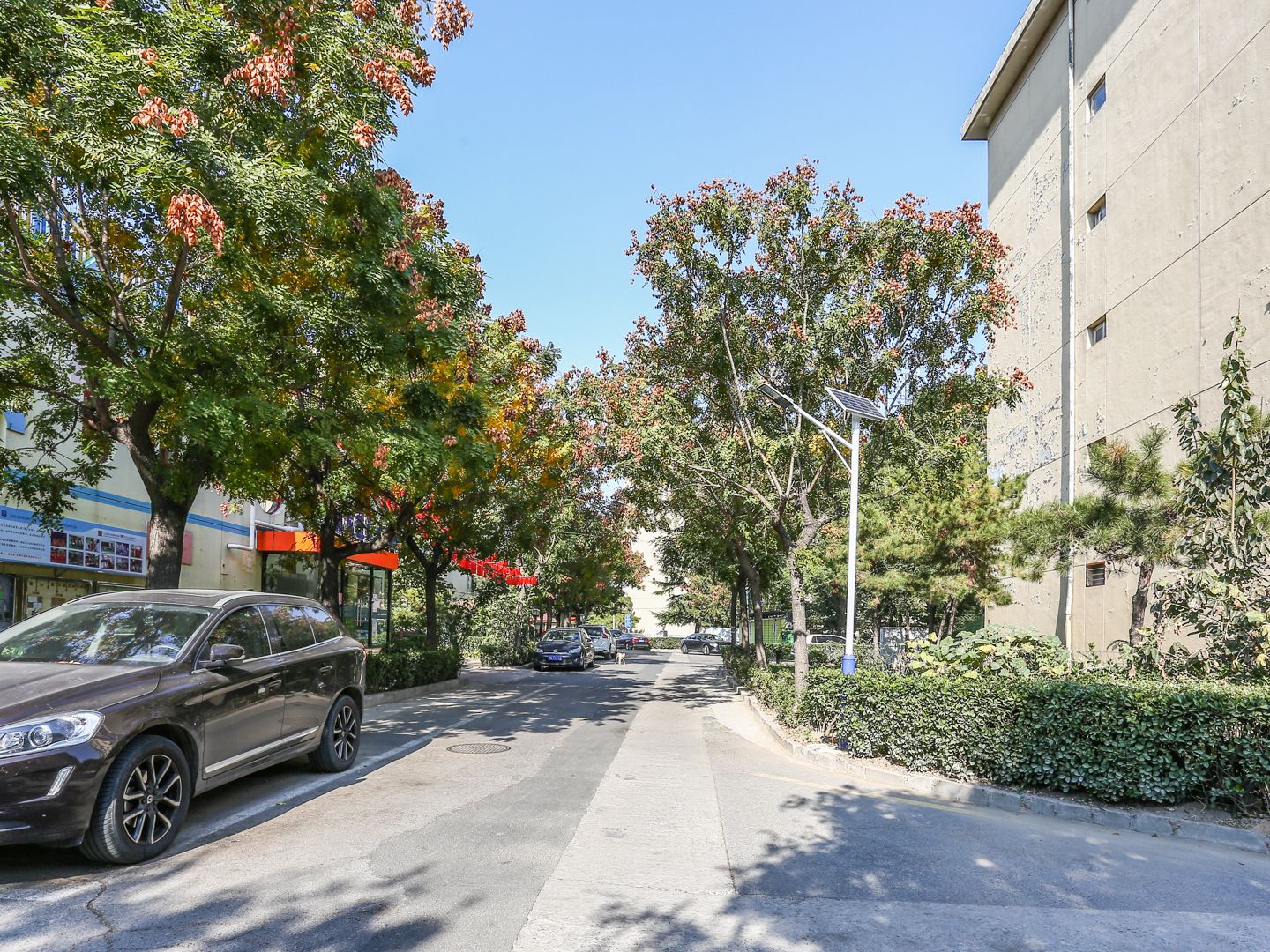 九龙山庄二区 environment