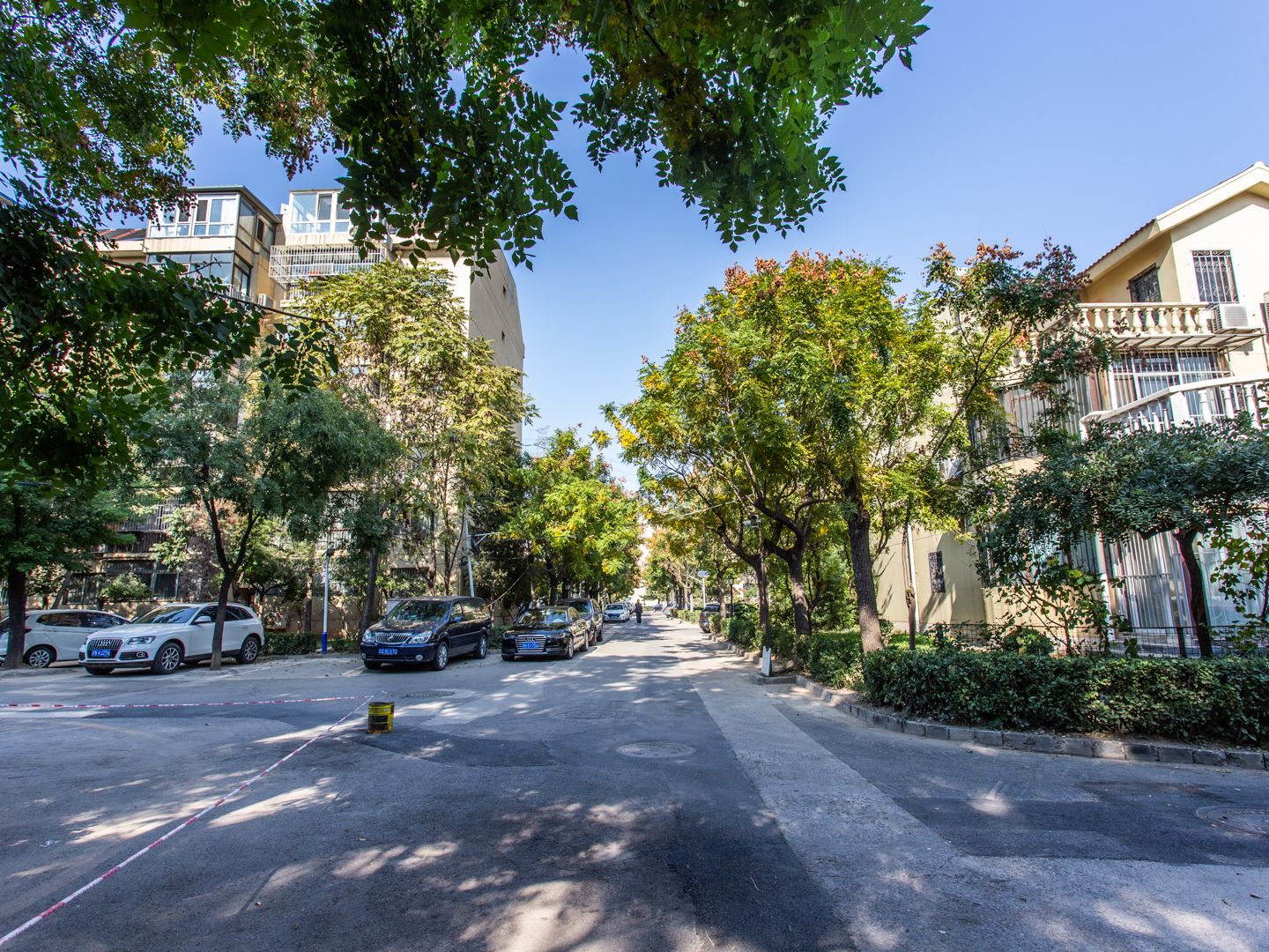 九龙山庄二区 environment