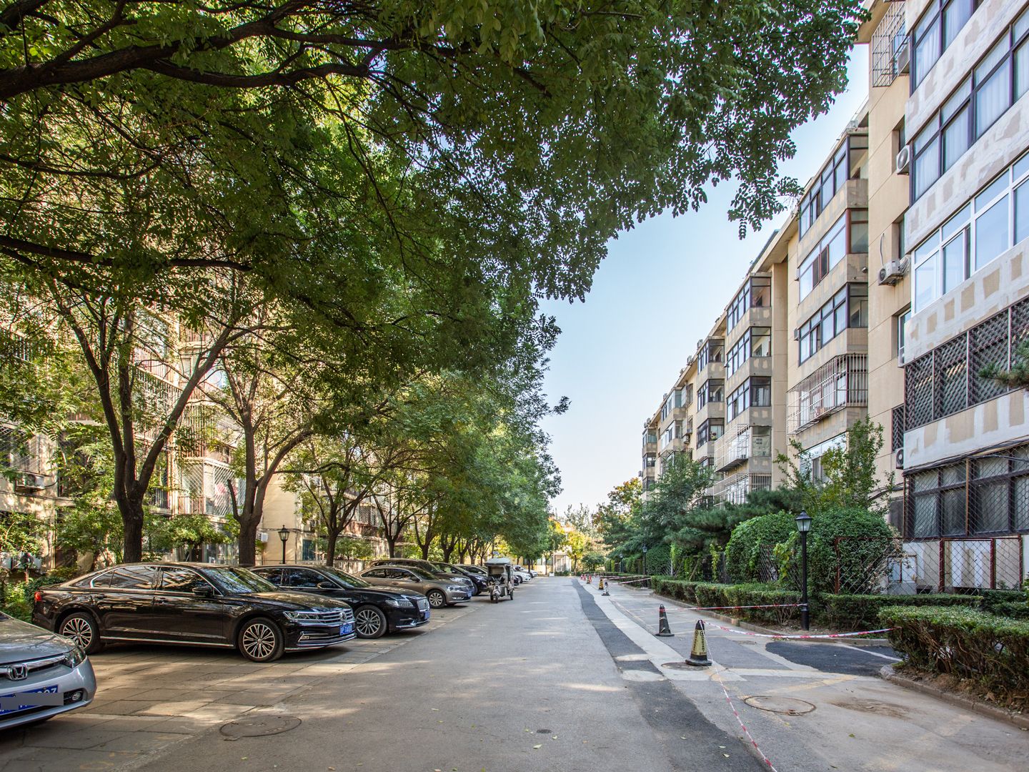 九龙山庄二区 environment