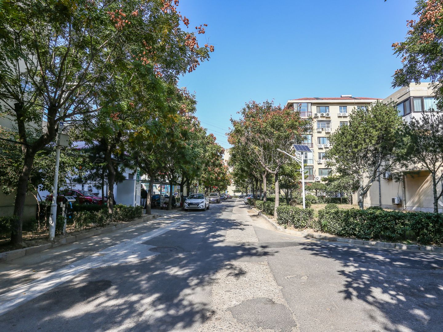 九龙山庄二区 environment