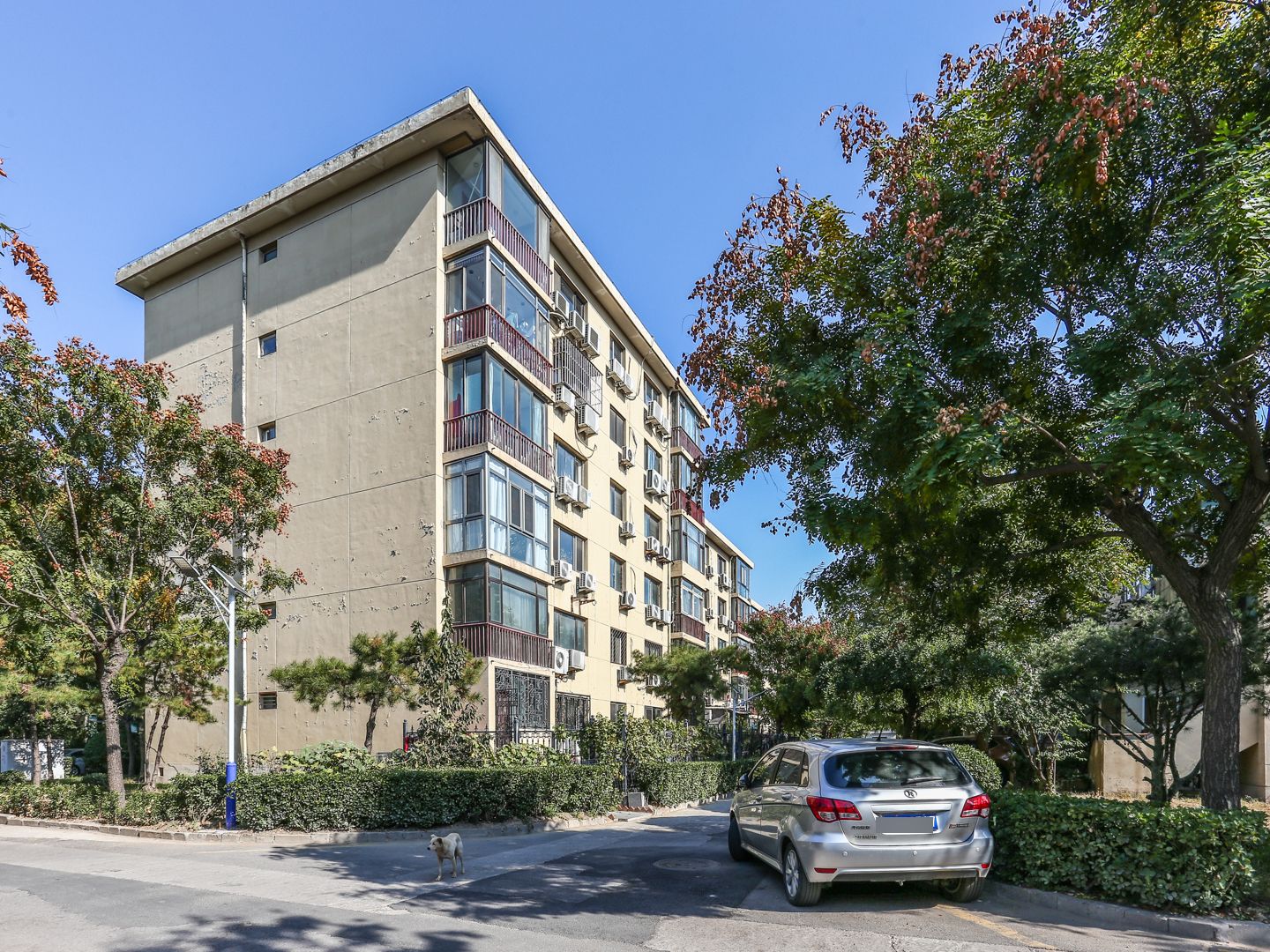 九龙山庄二区 environment