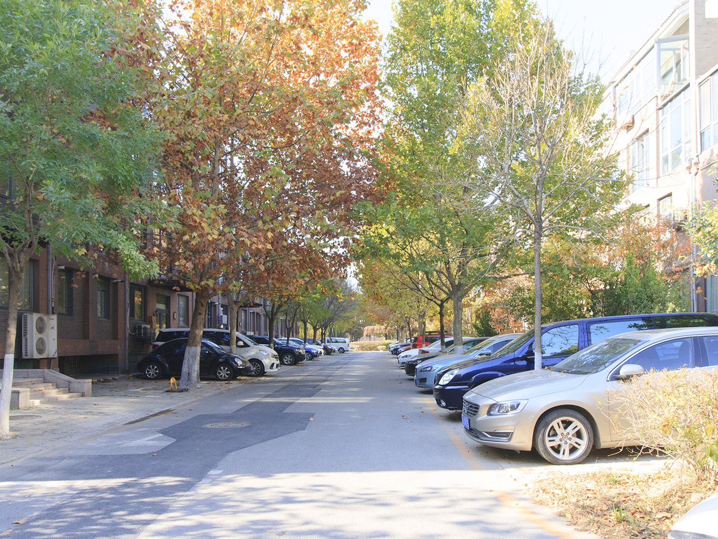 康城别墅二期 environment