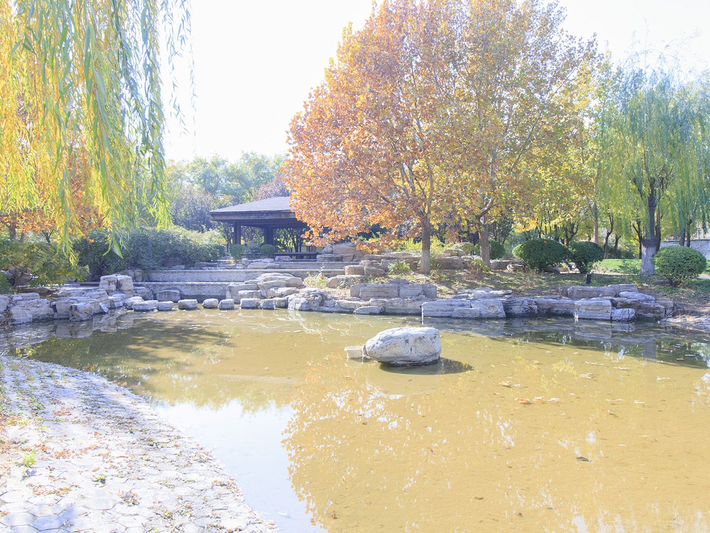 康城别墅二期 environment