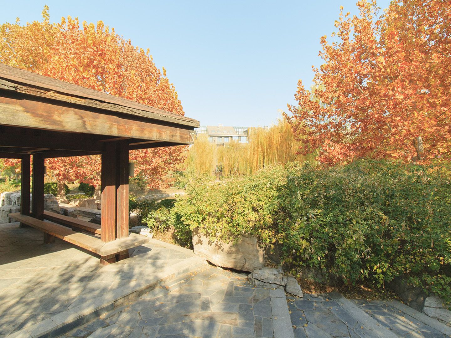 康城别墅二期 environment