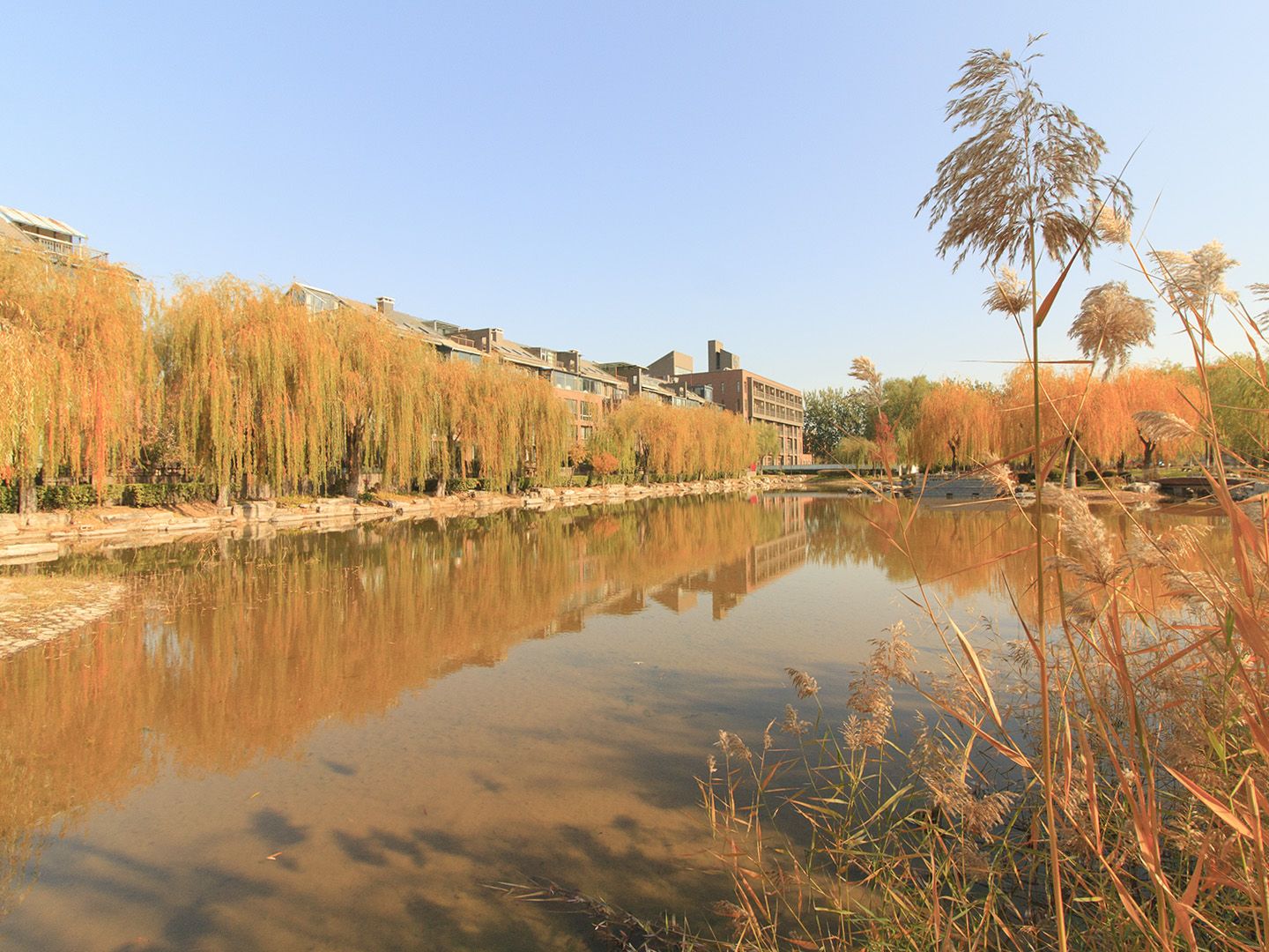 康城别墅二期 environment