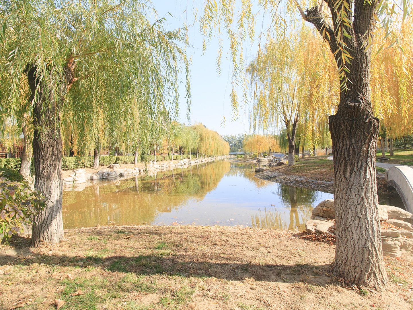 康城别墅二期 environment