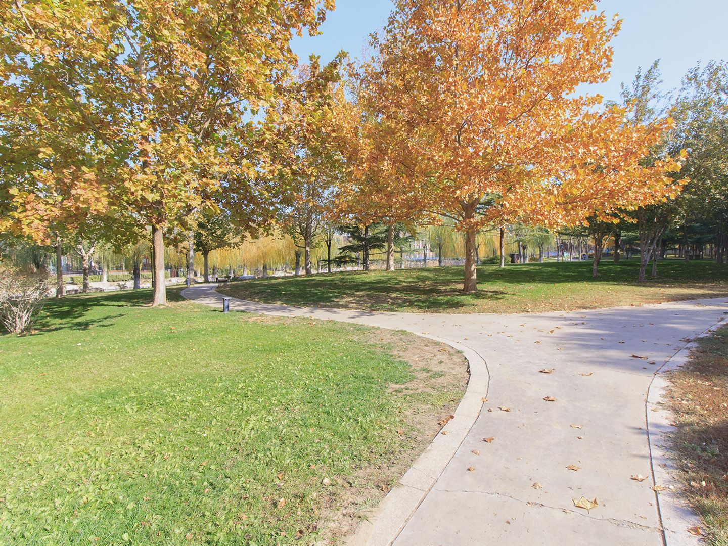 康城别墅二期 environment