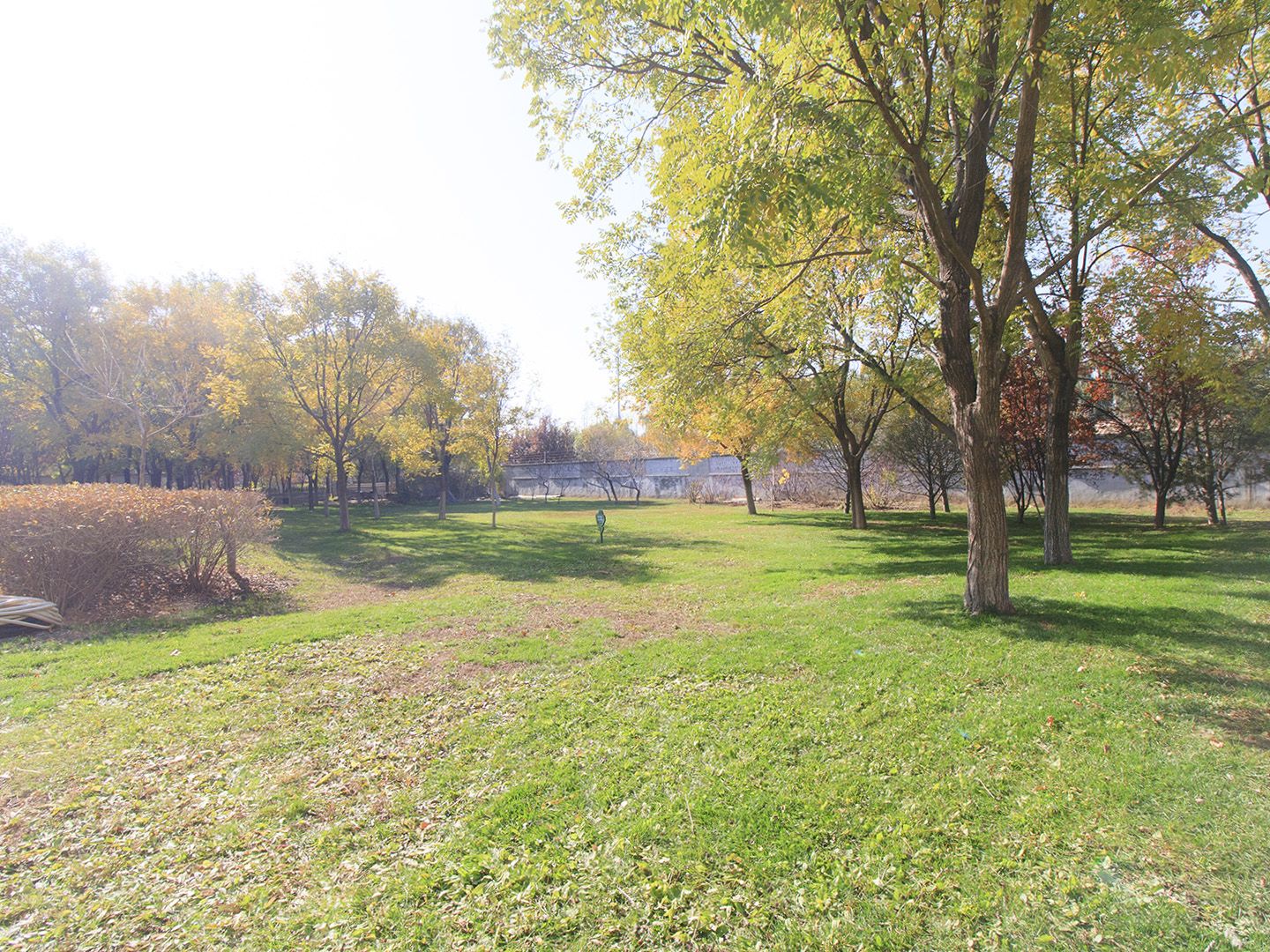 康城别墅二期 environment