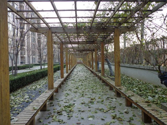 康斯丹郡 environment