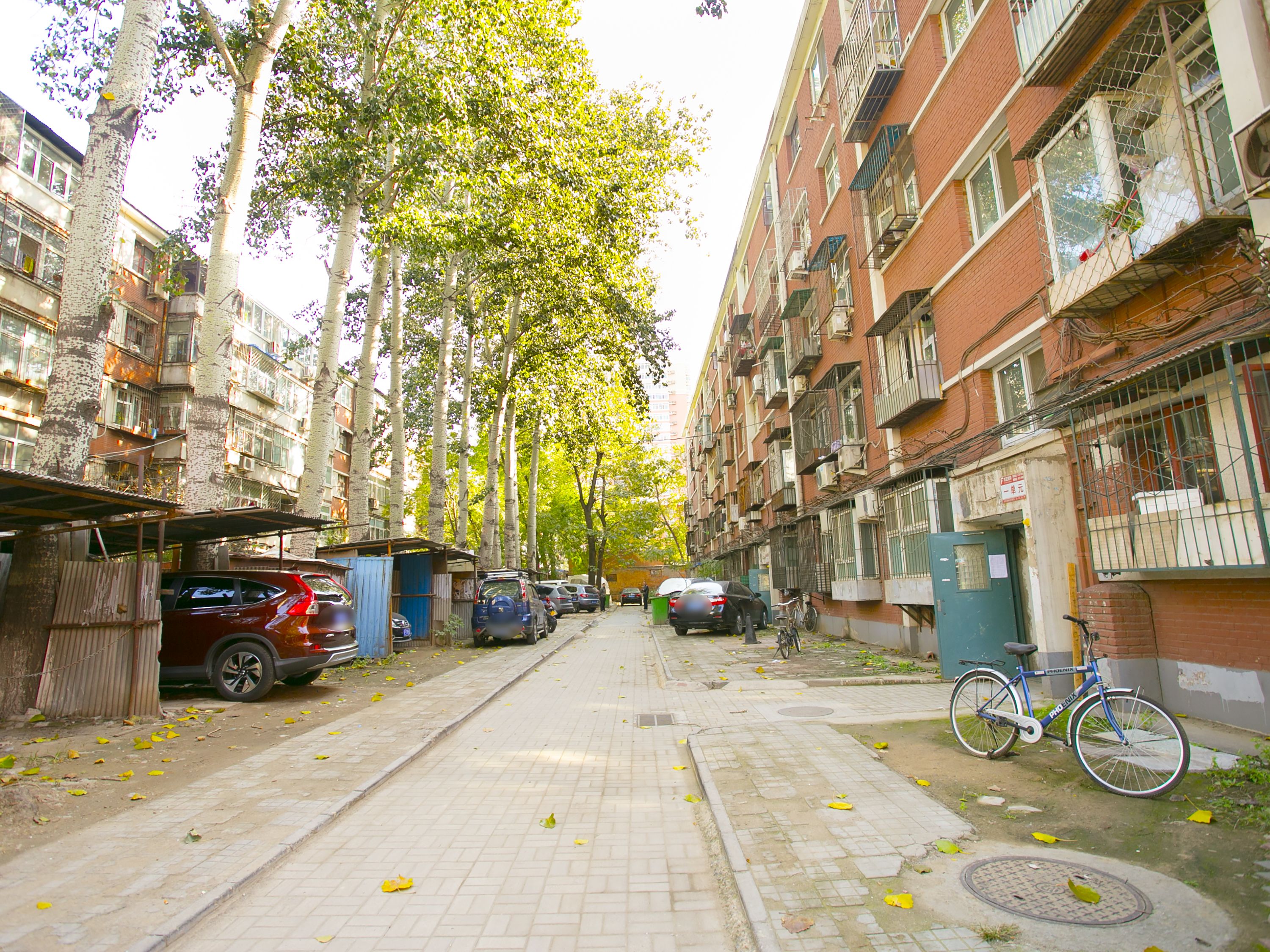 科育小区 environment