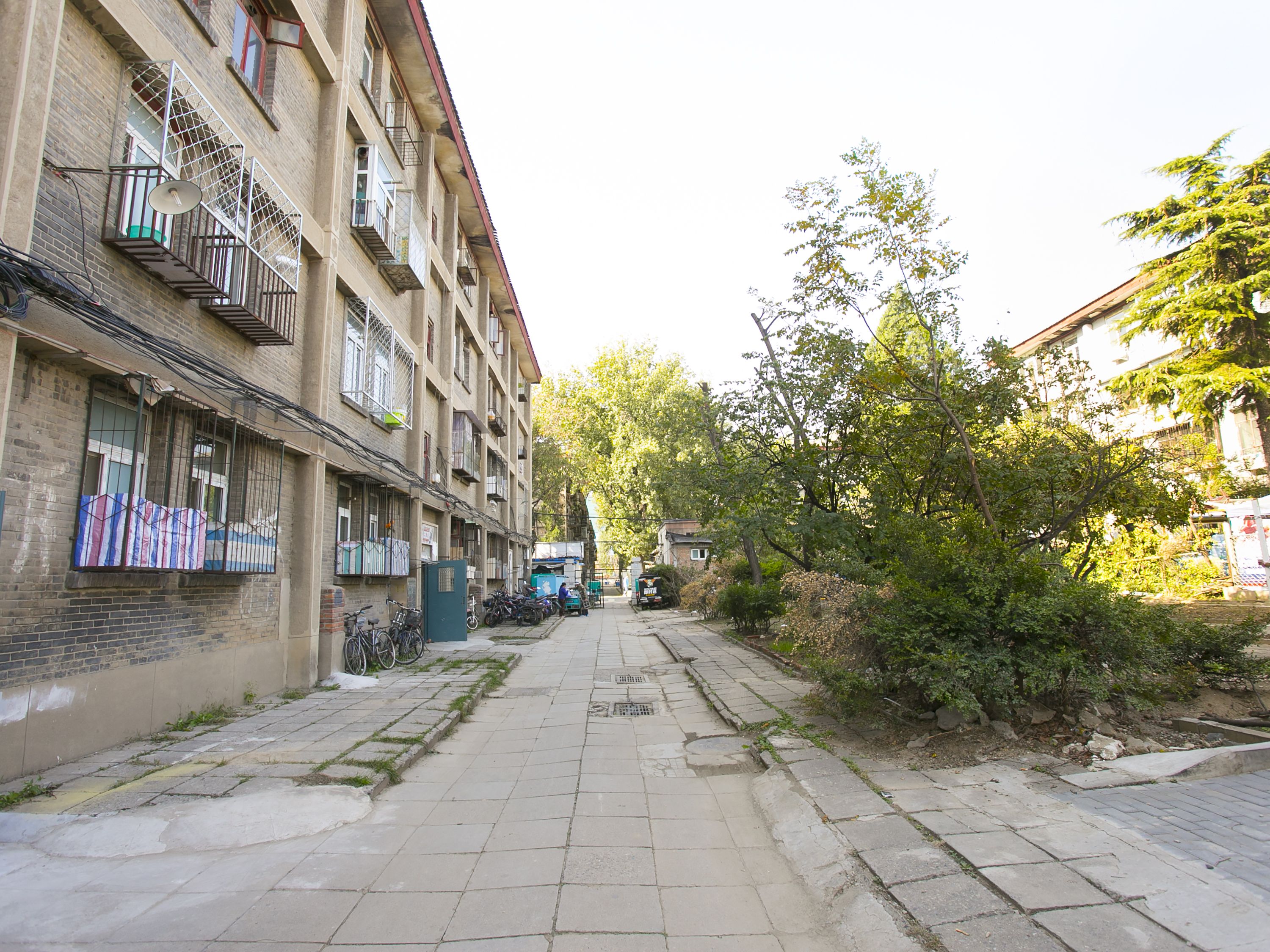 科育小区 environment