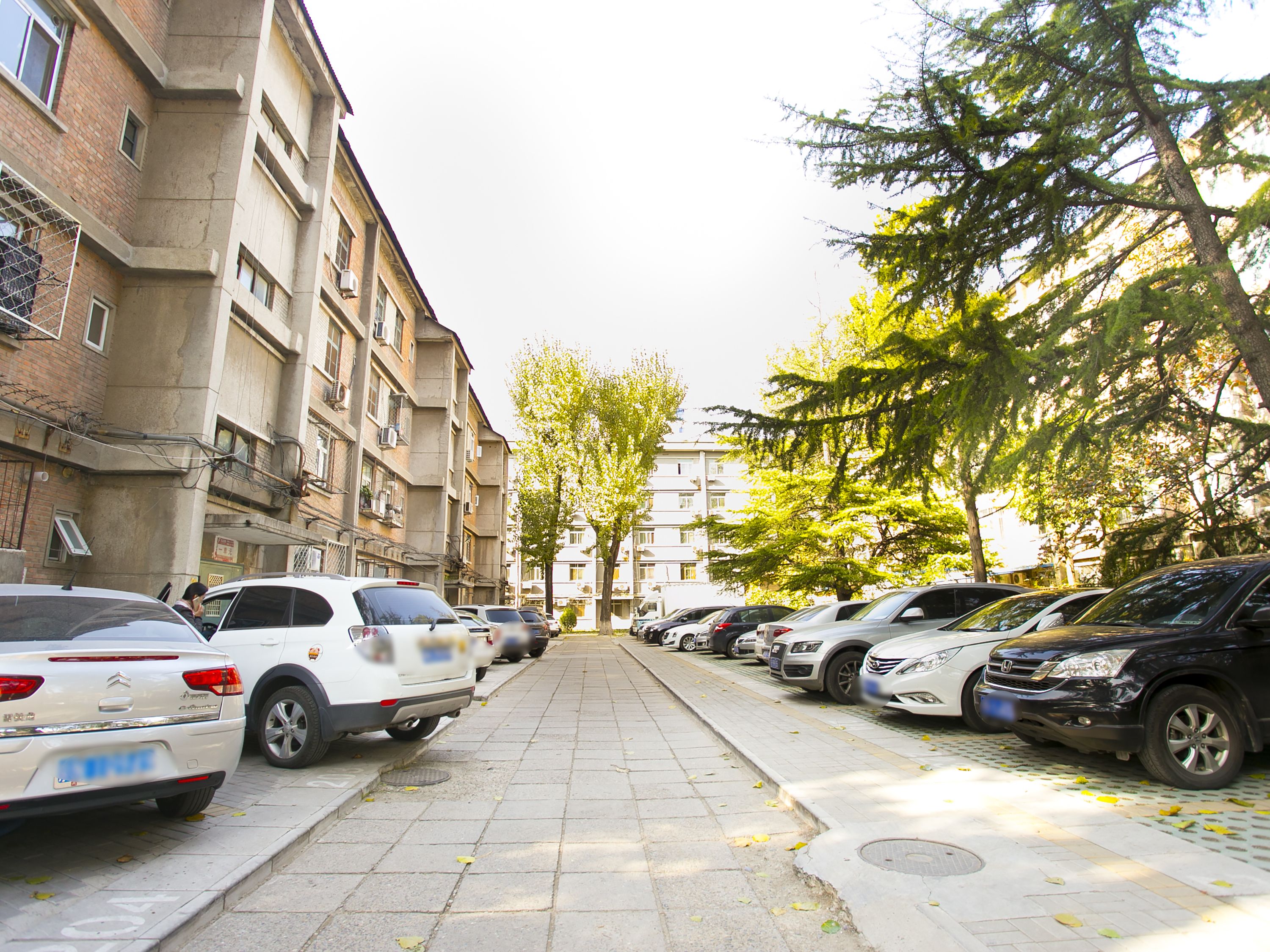 科育小区 environment