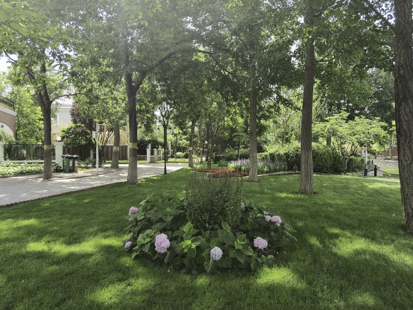 莱蒙湖别墅 environment