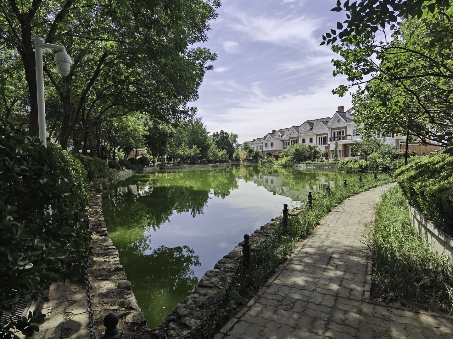 莱蒙湖别墅 environment