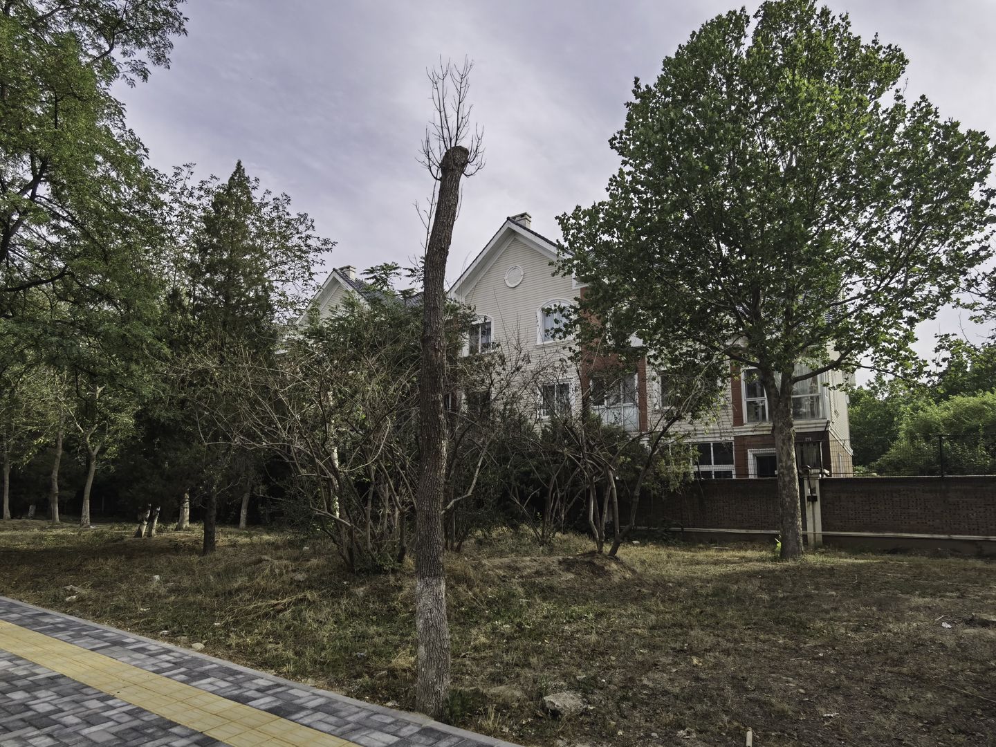 莱蒙湖别墅 environment