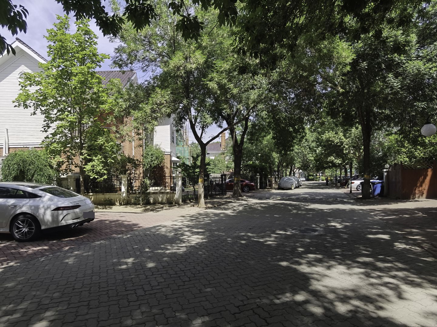 莱蒙湖别墅 environment