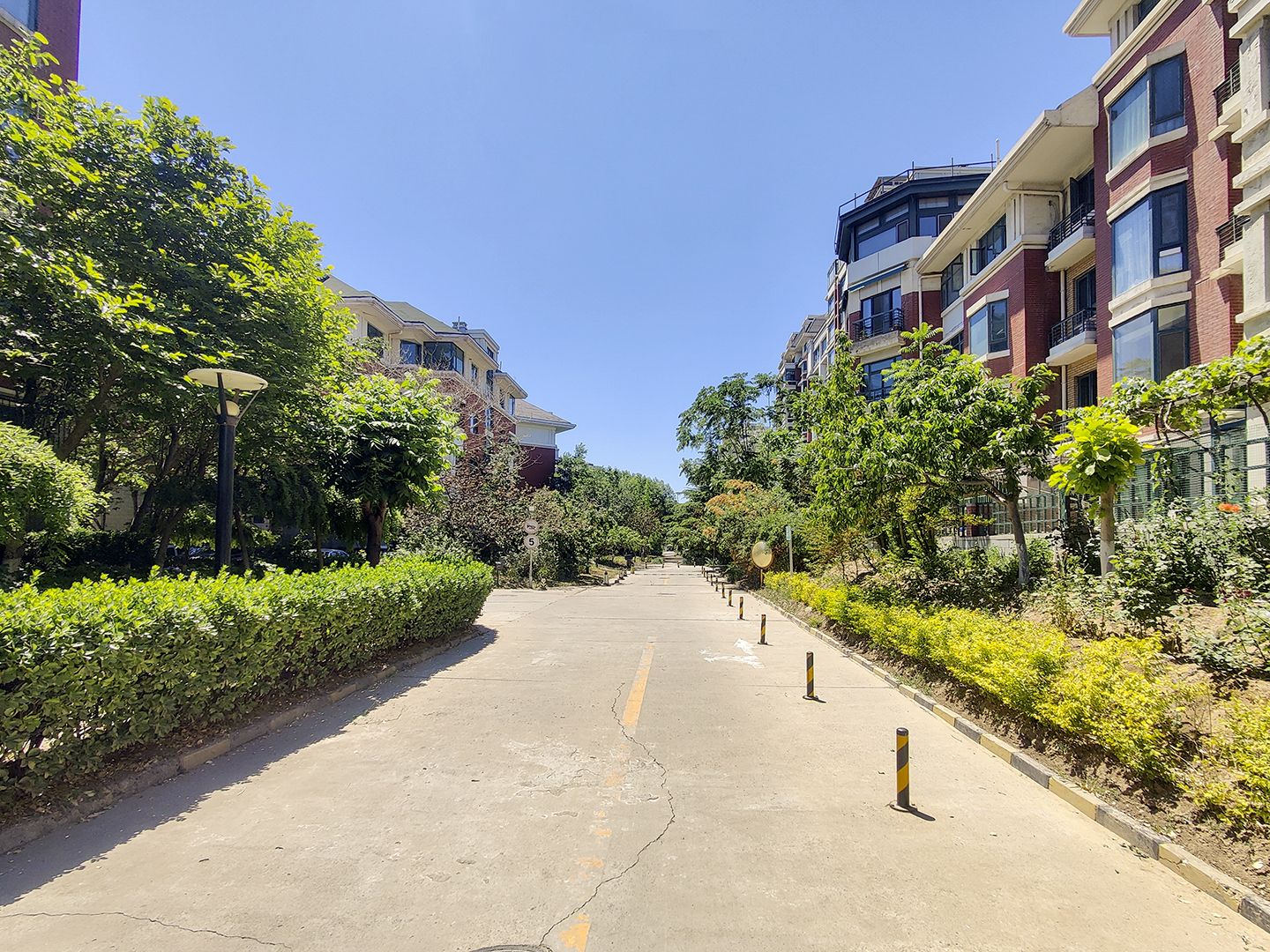 莱茵河畔 environment