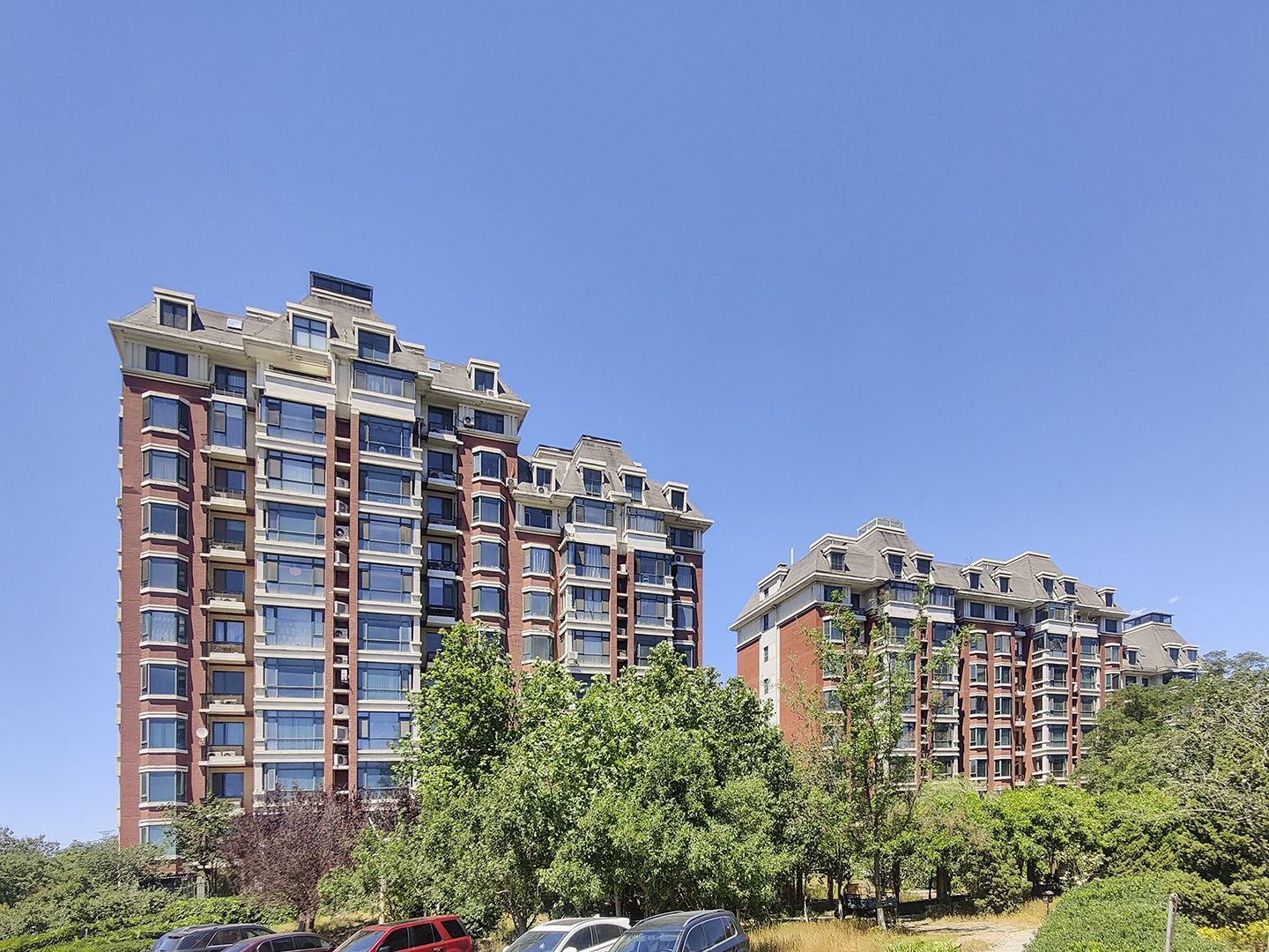 莱茵河畔 environment