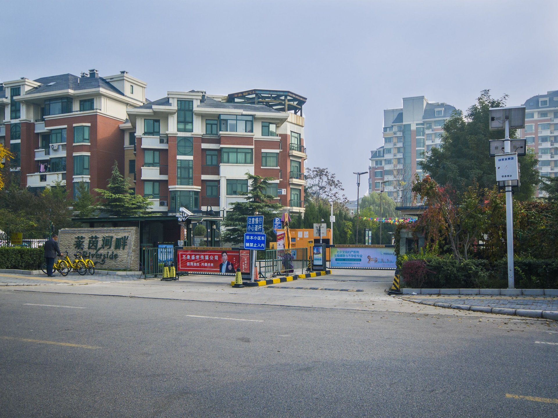 莱茵河畔 environment