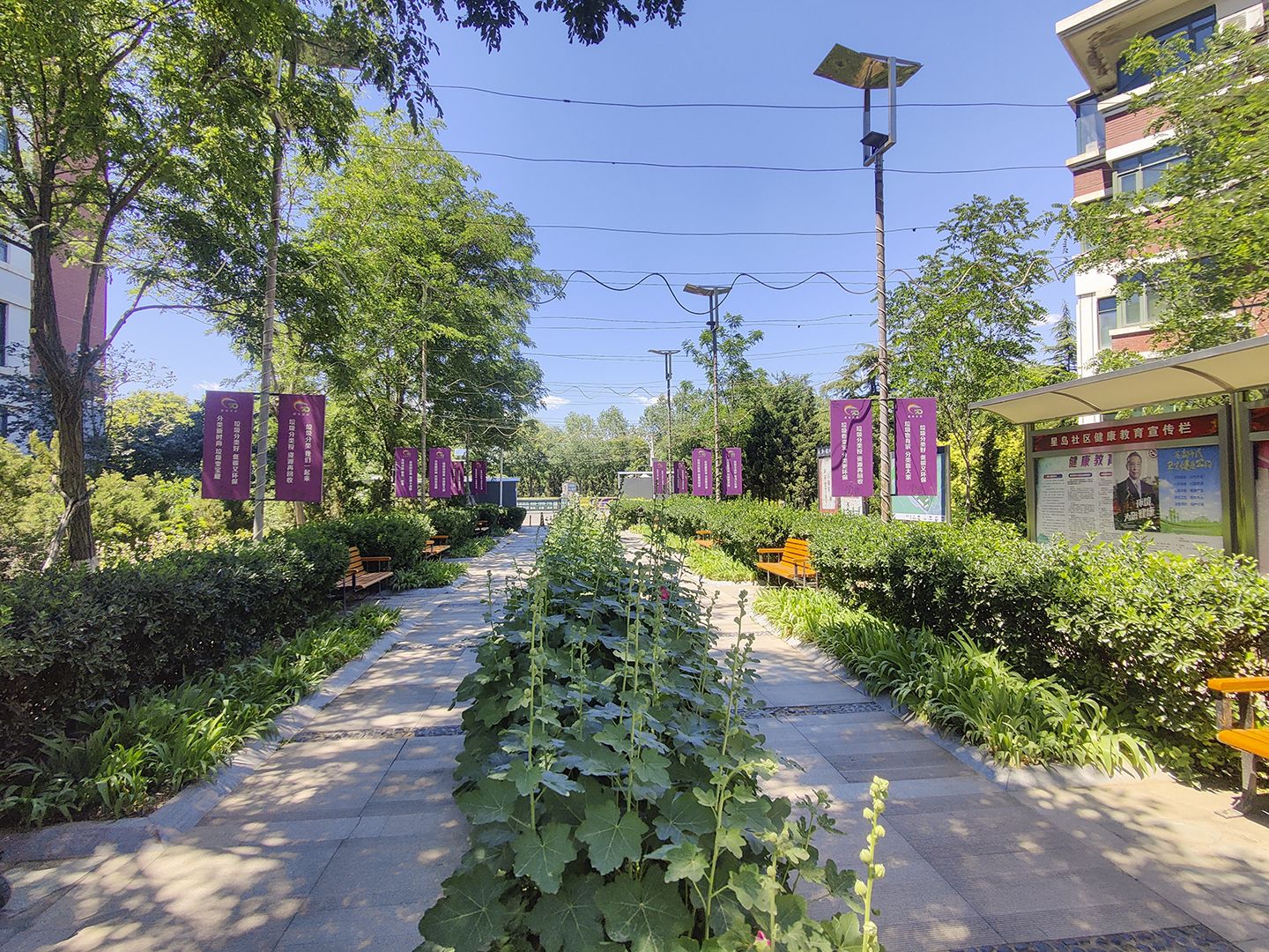 莱茵河畔 environment