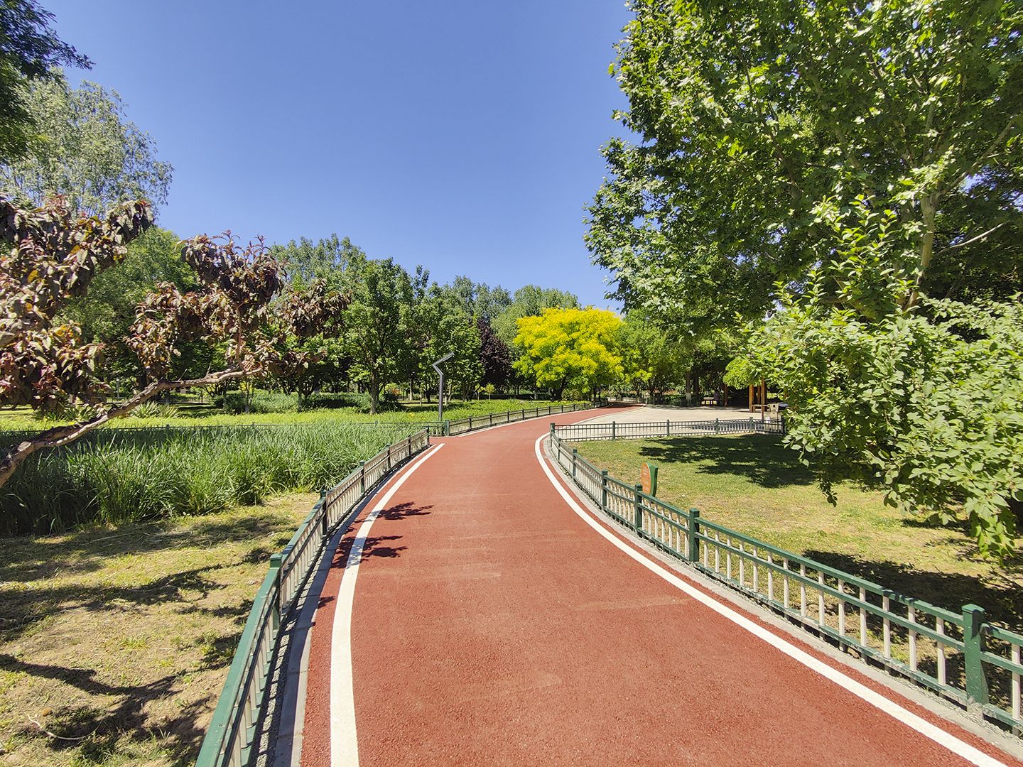 莱茵河畔 environment