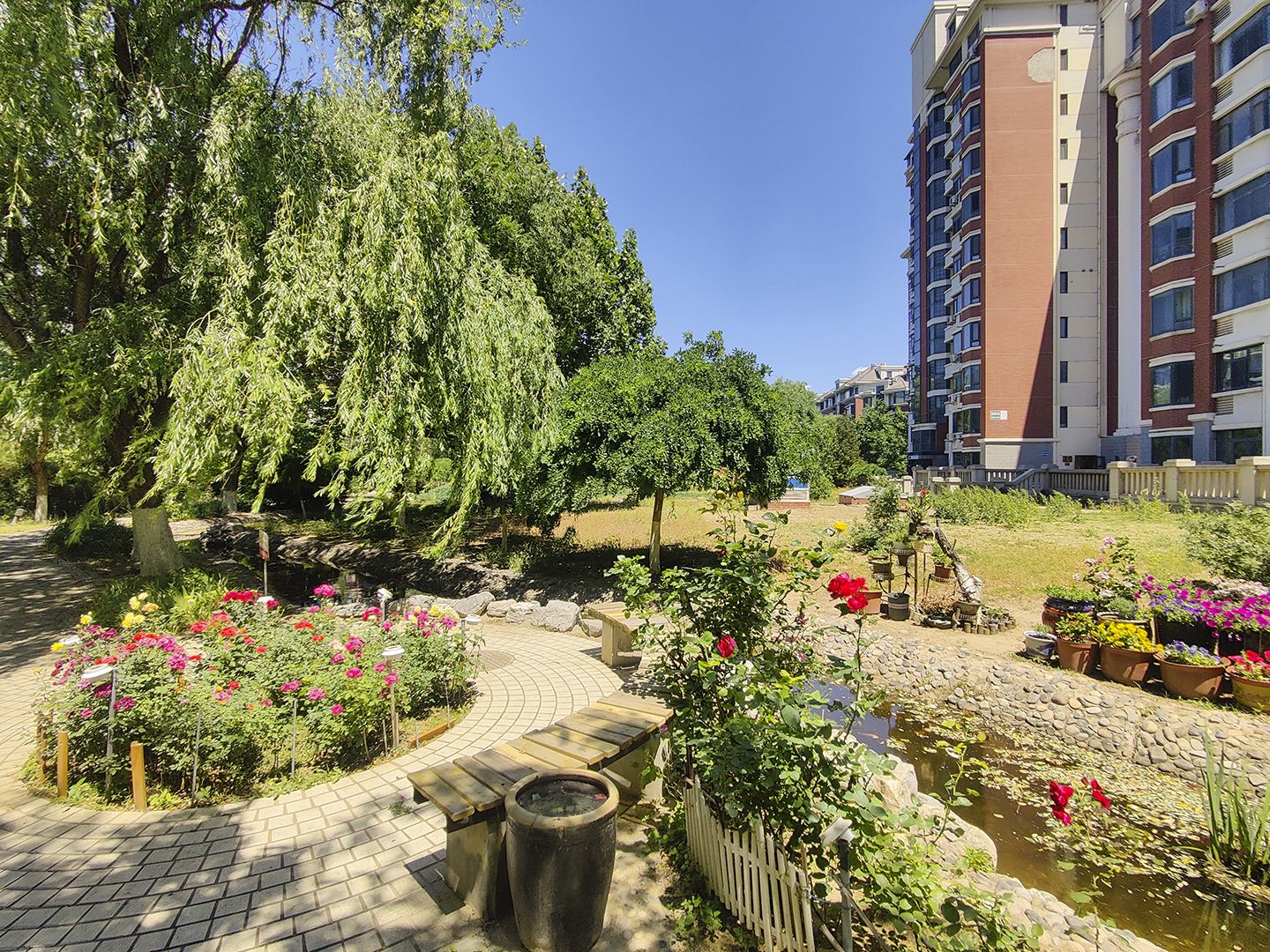 莱茵河畔 environment