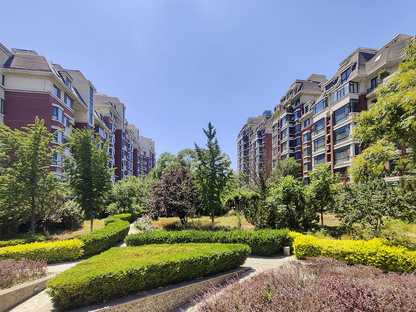 莱茵河畔 environment