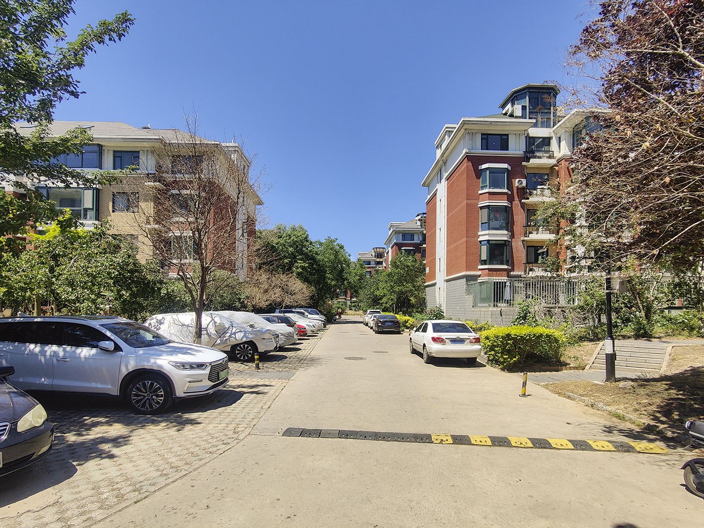 莱茵河畔 environment