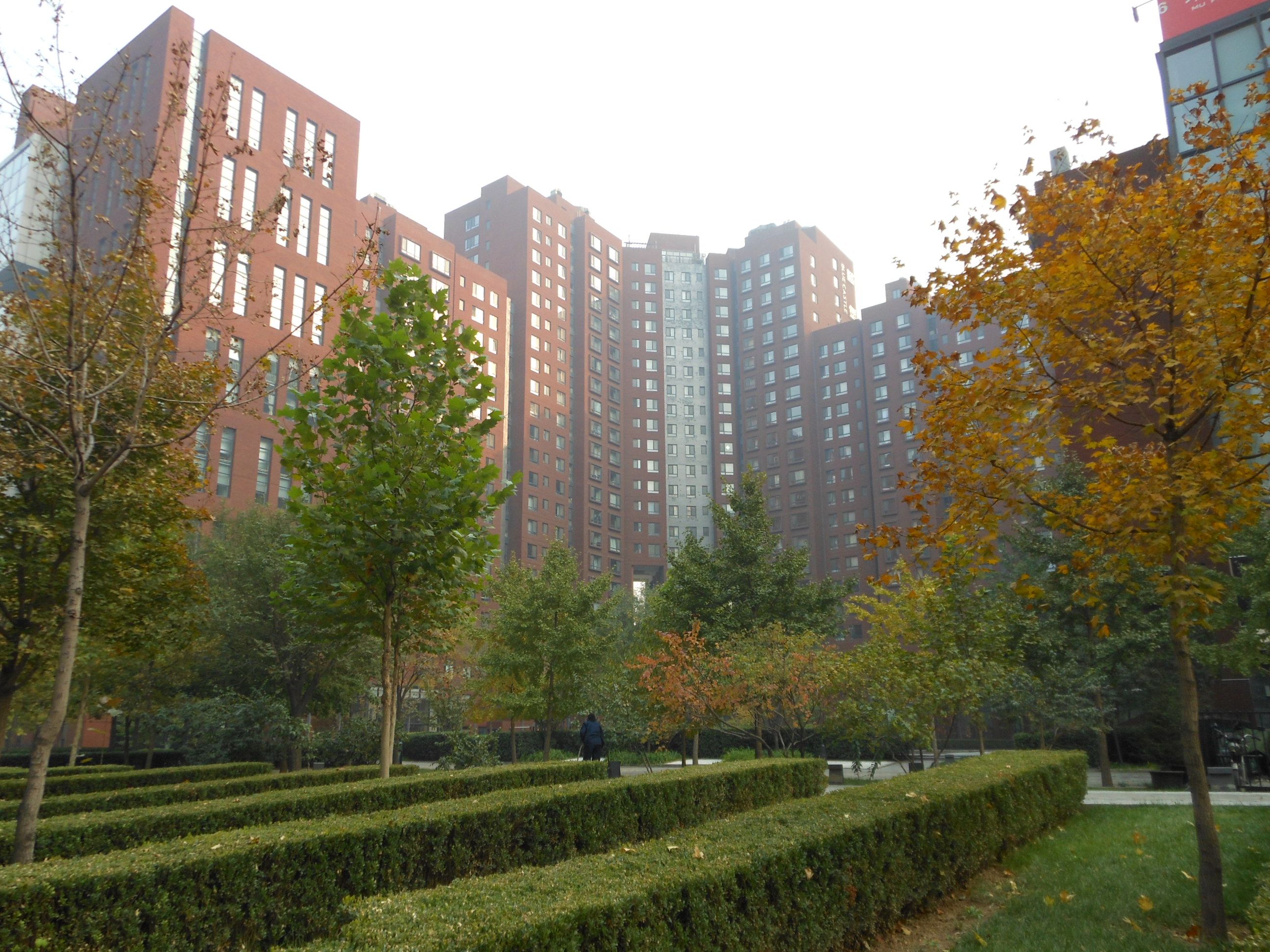 蓝堡国际公寓 environment