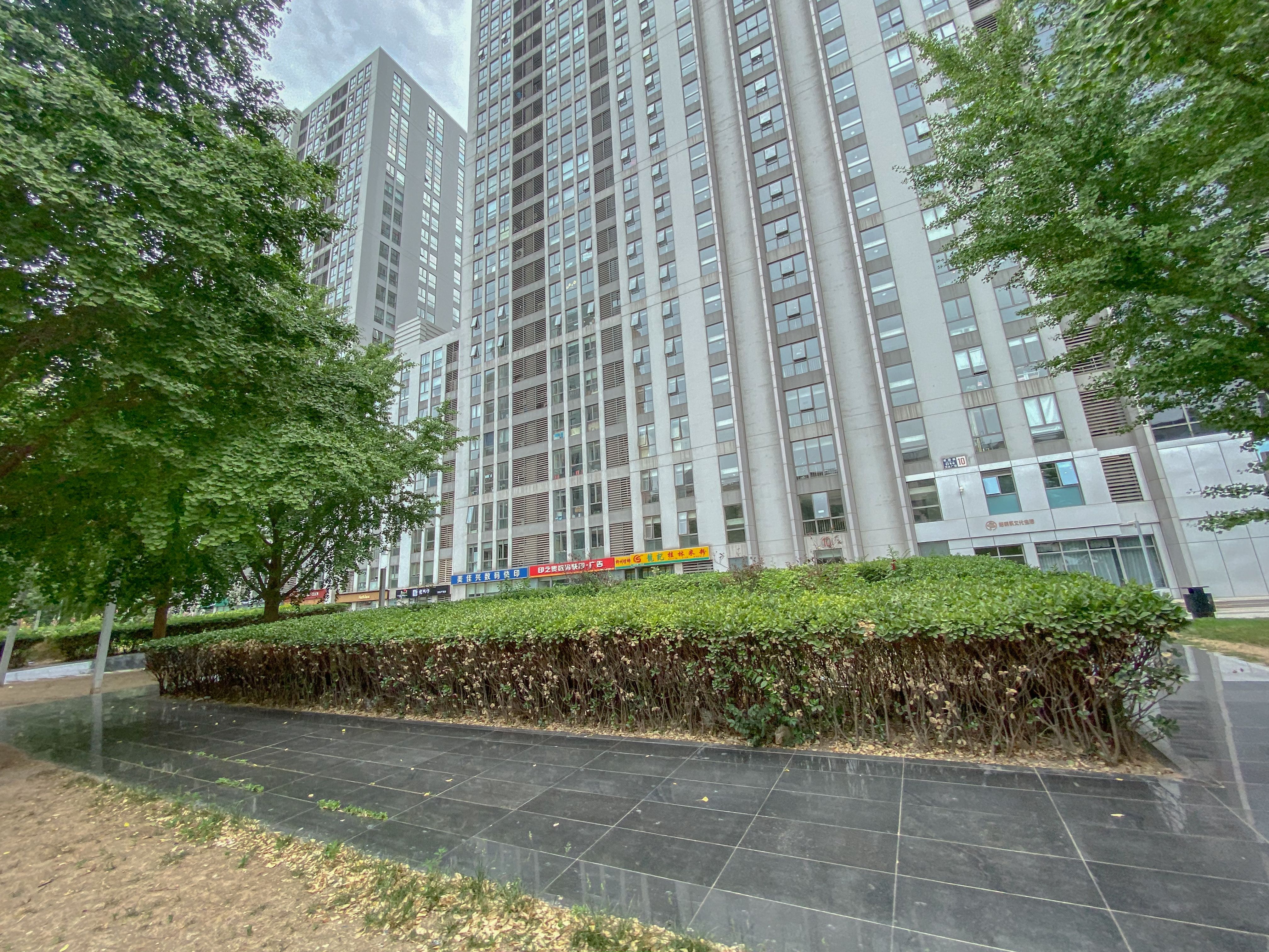 蓝堡国际公寓 environment