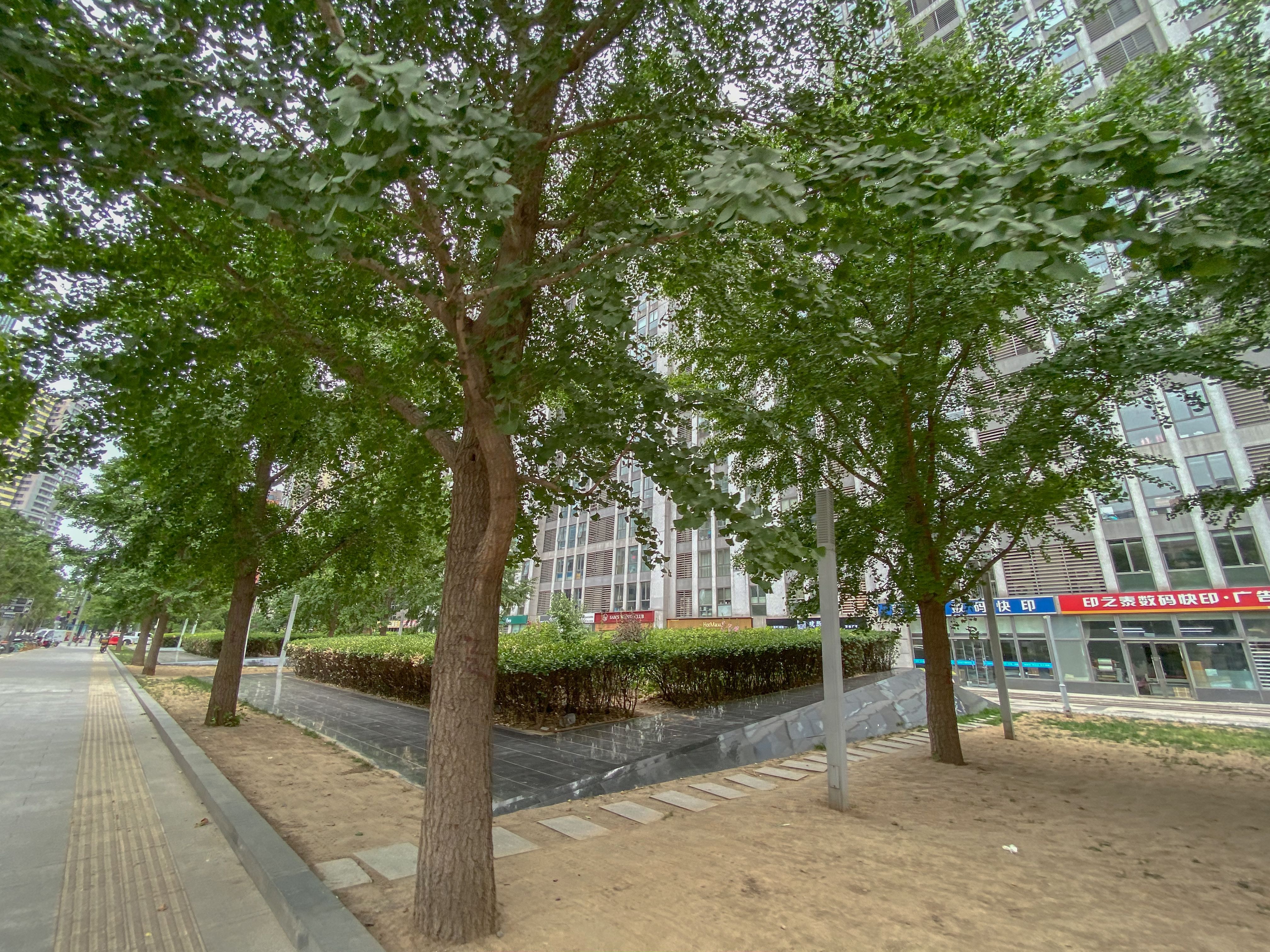 蓝堡国际公寓 environment