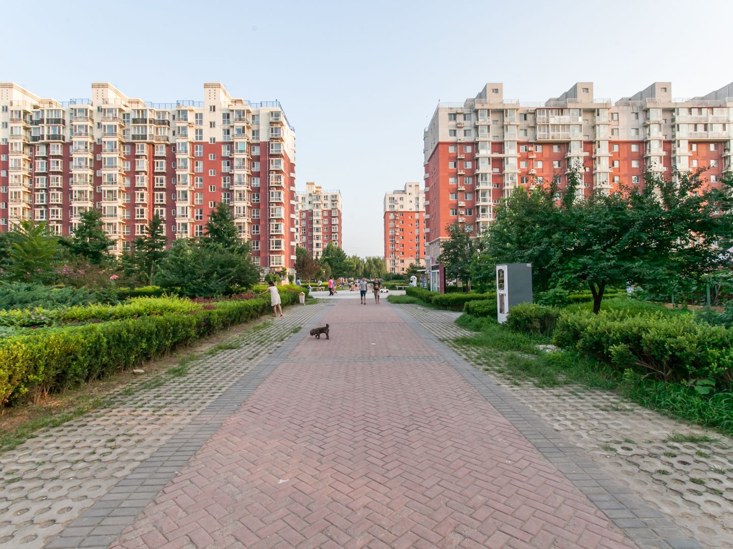 蓝海苑 environment