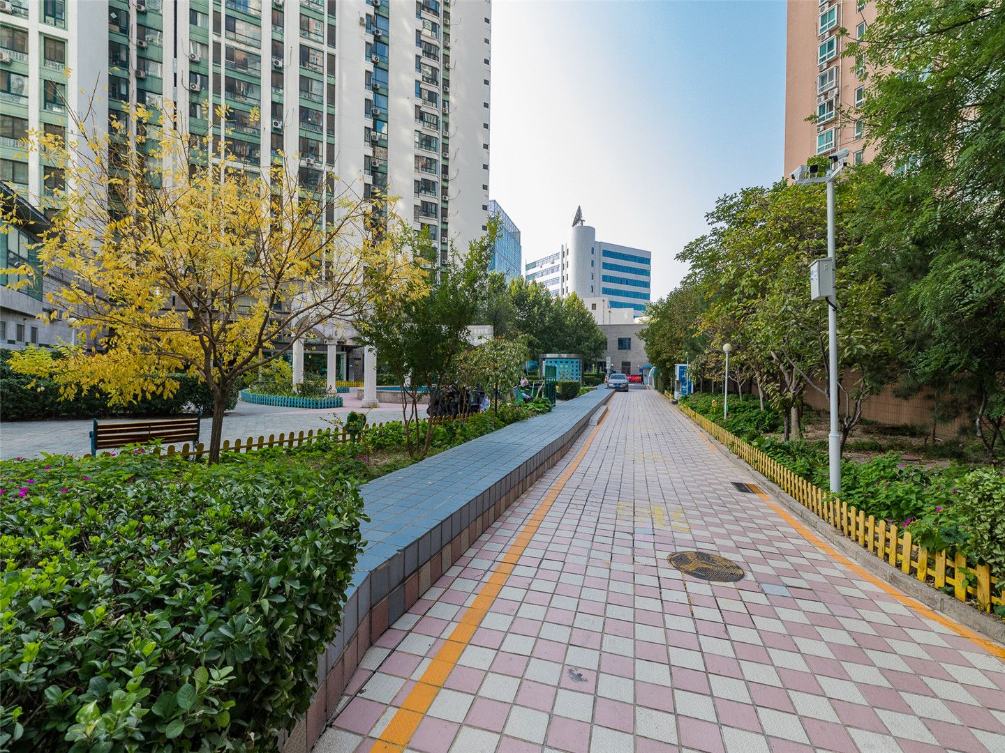 蓝色家园 environment