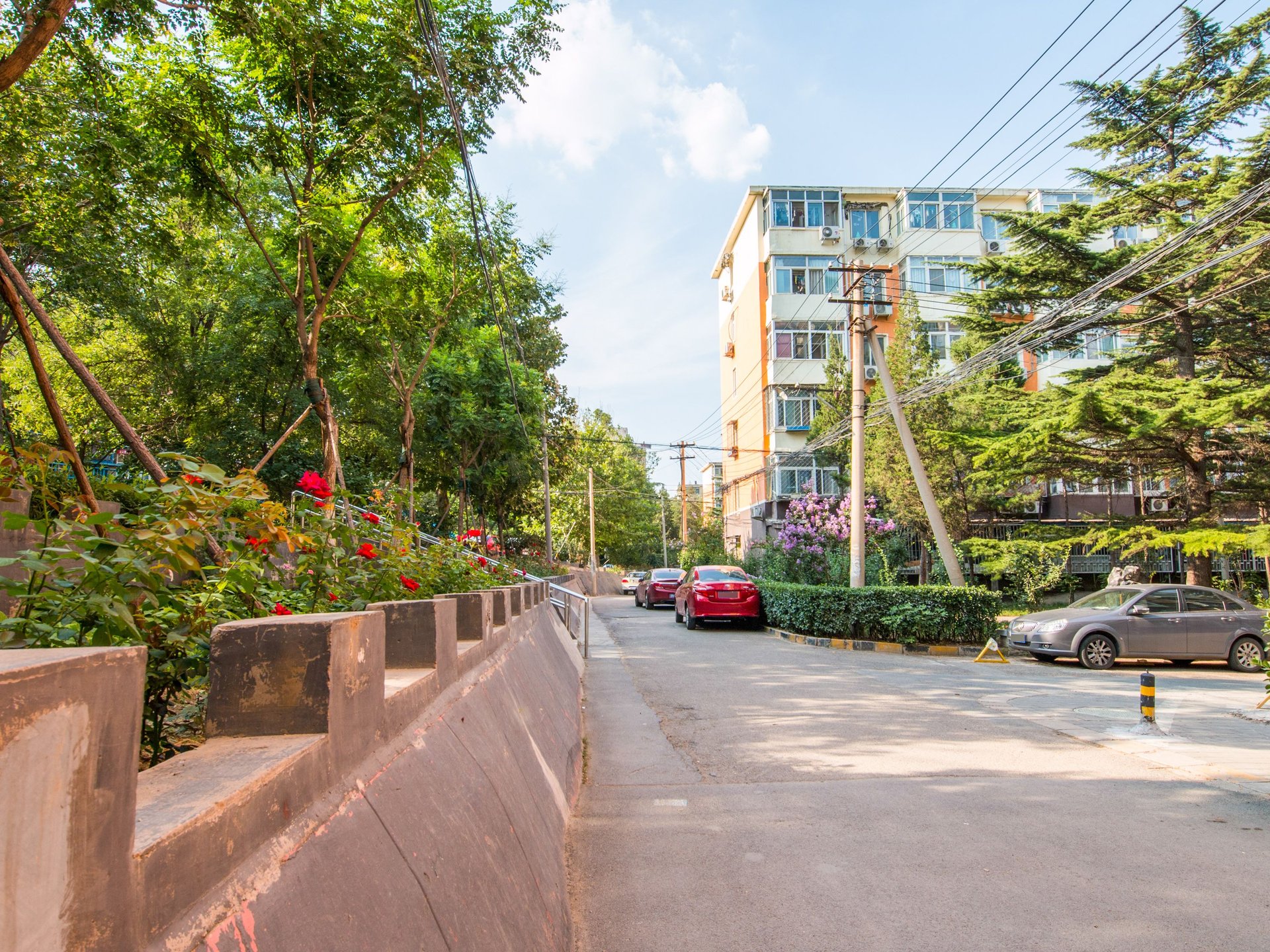 老山东里 environment