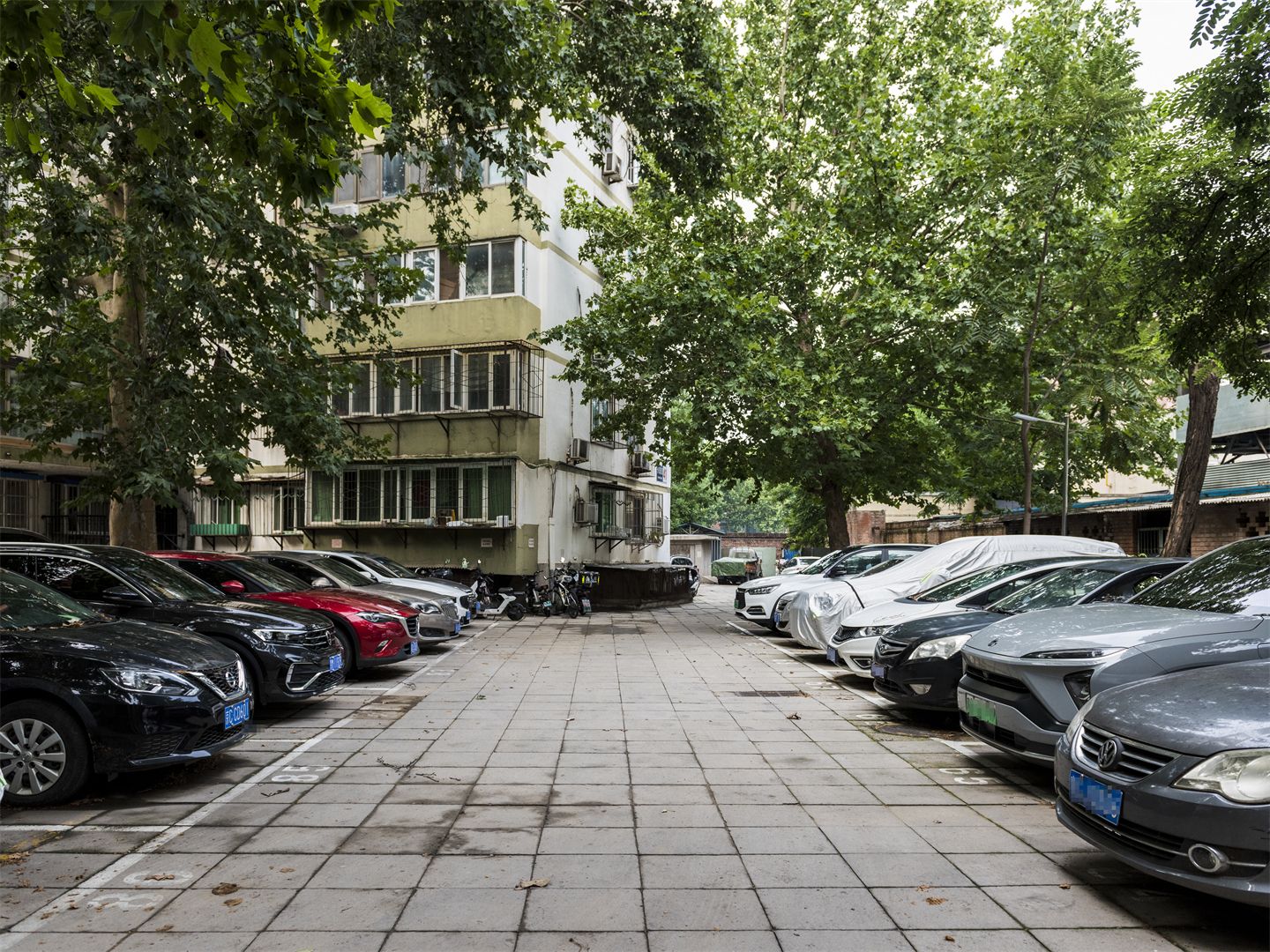 丽都职工公寓 environment