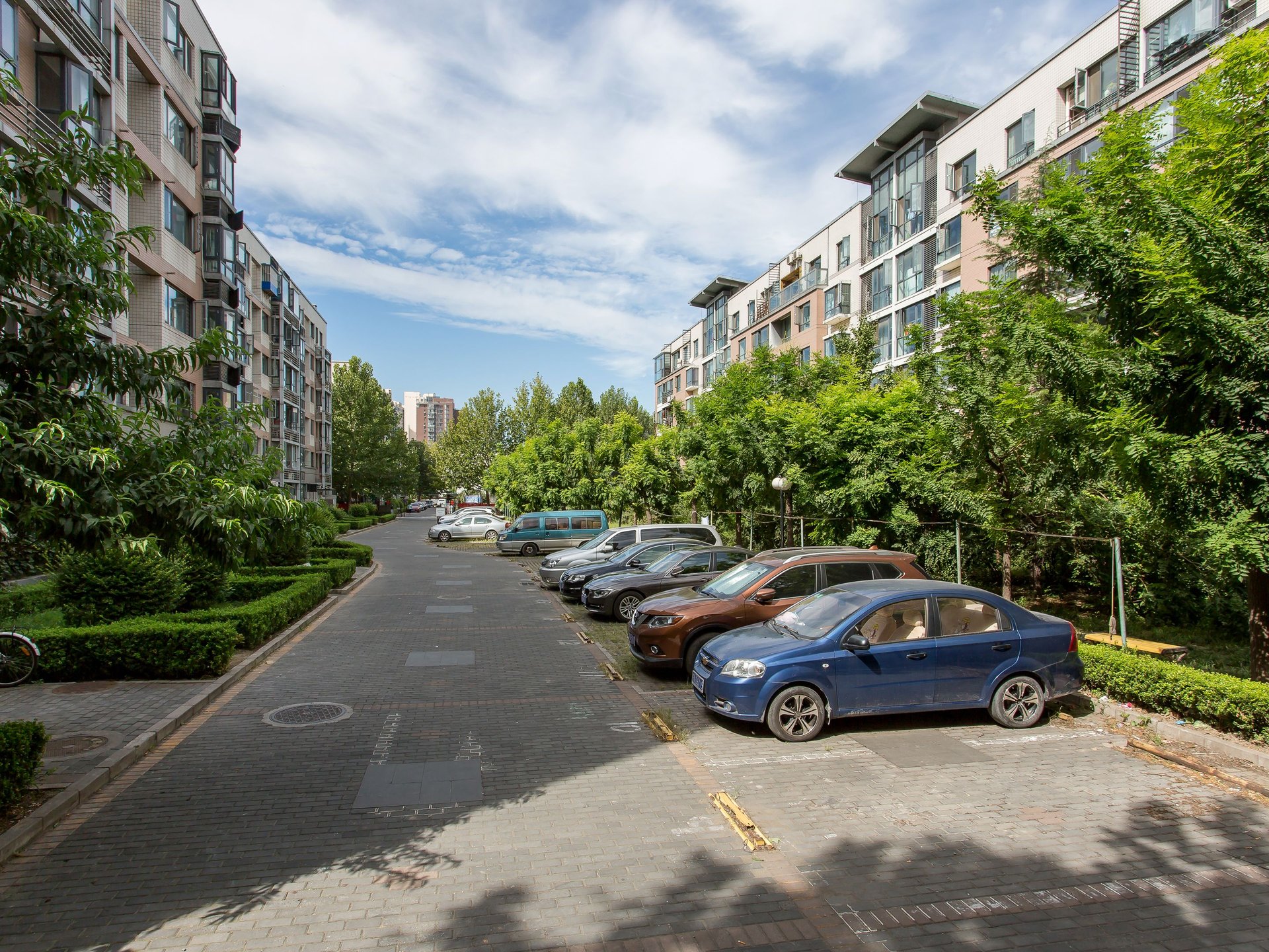 丽港美度 environment