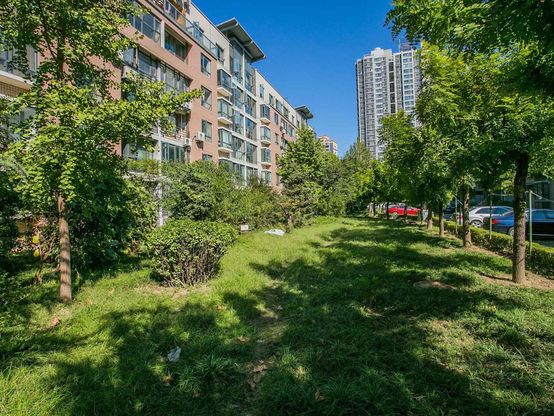 丽港美度 environment