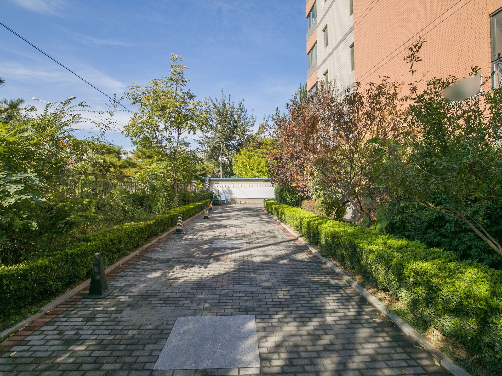 丽港美度 environment