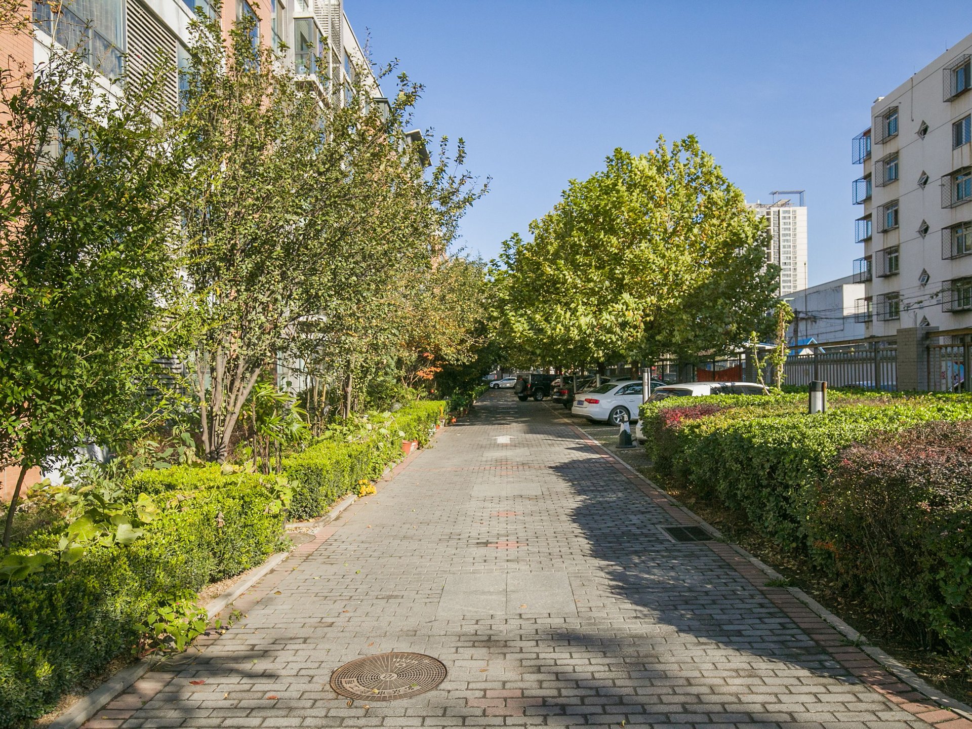 丽港美度 environment