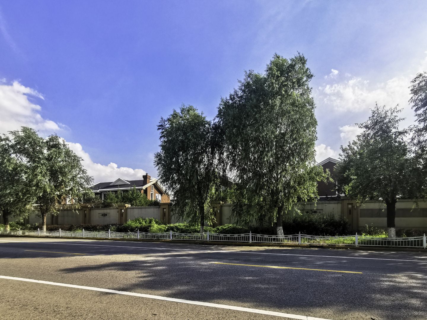 丽嘉花园 environment