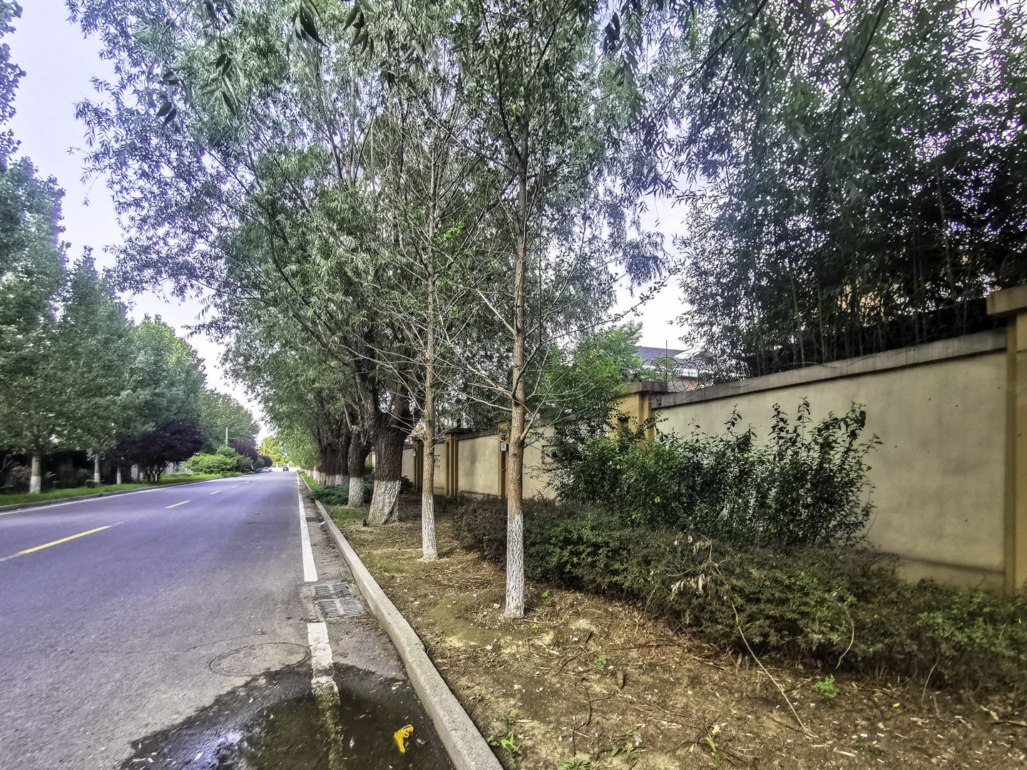 丽嘉花园 environment