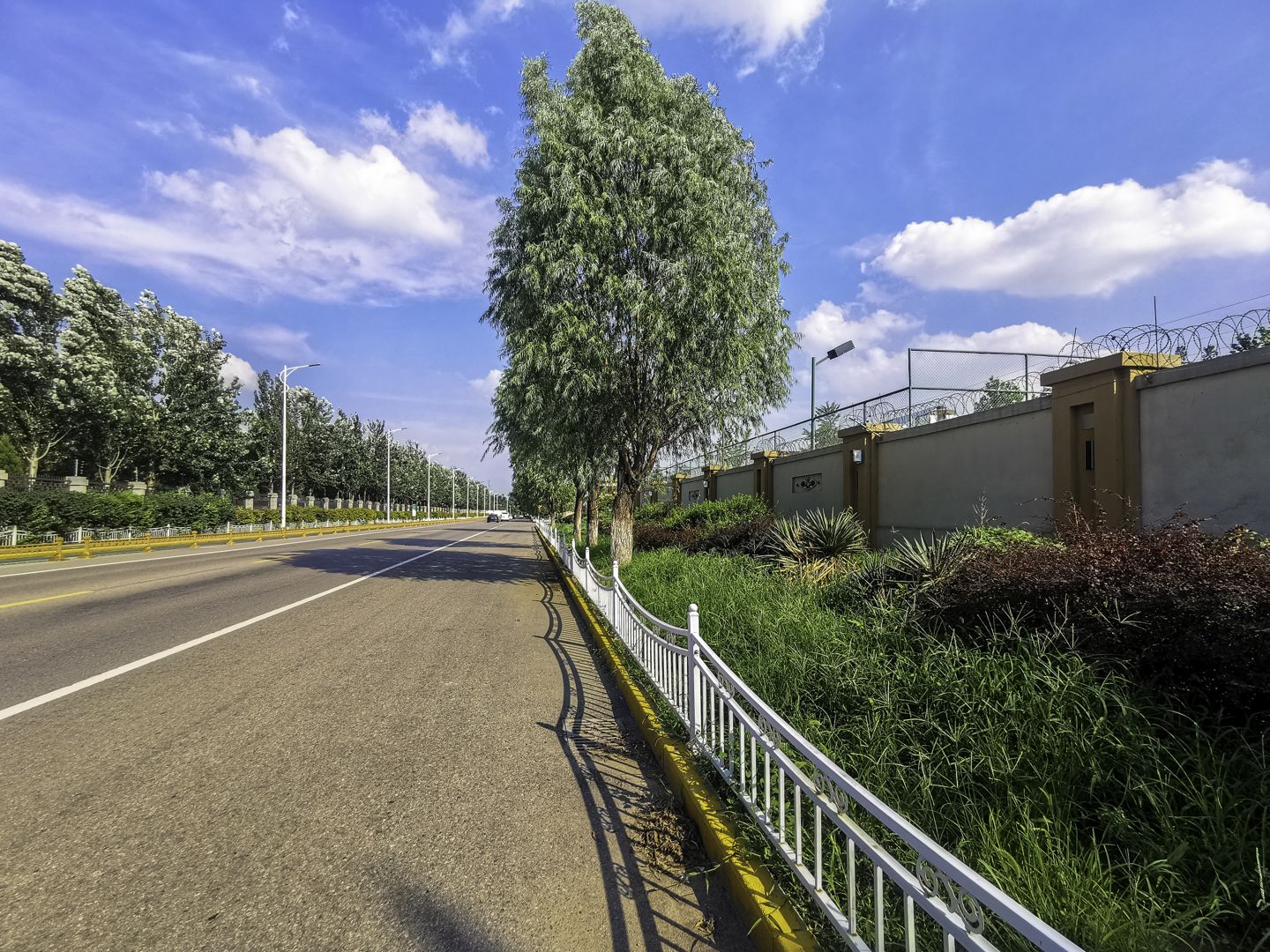 丽嘉花园 environment