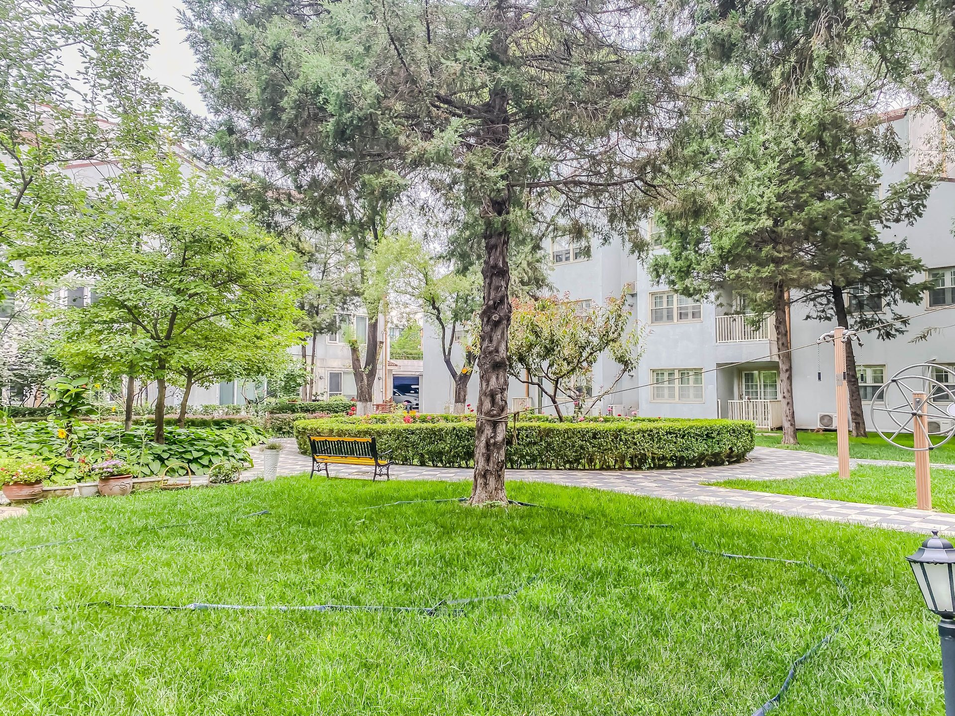 丽京花园 environment