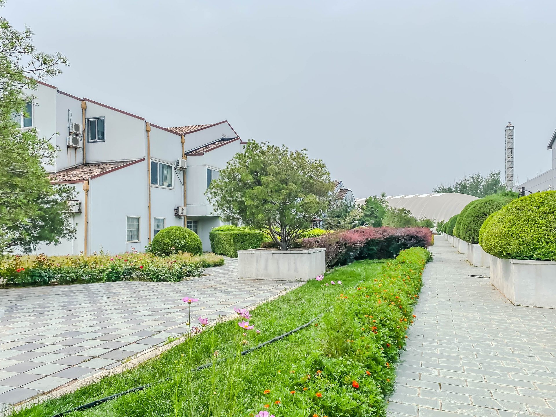 丽京花园 environment